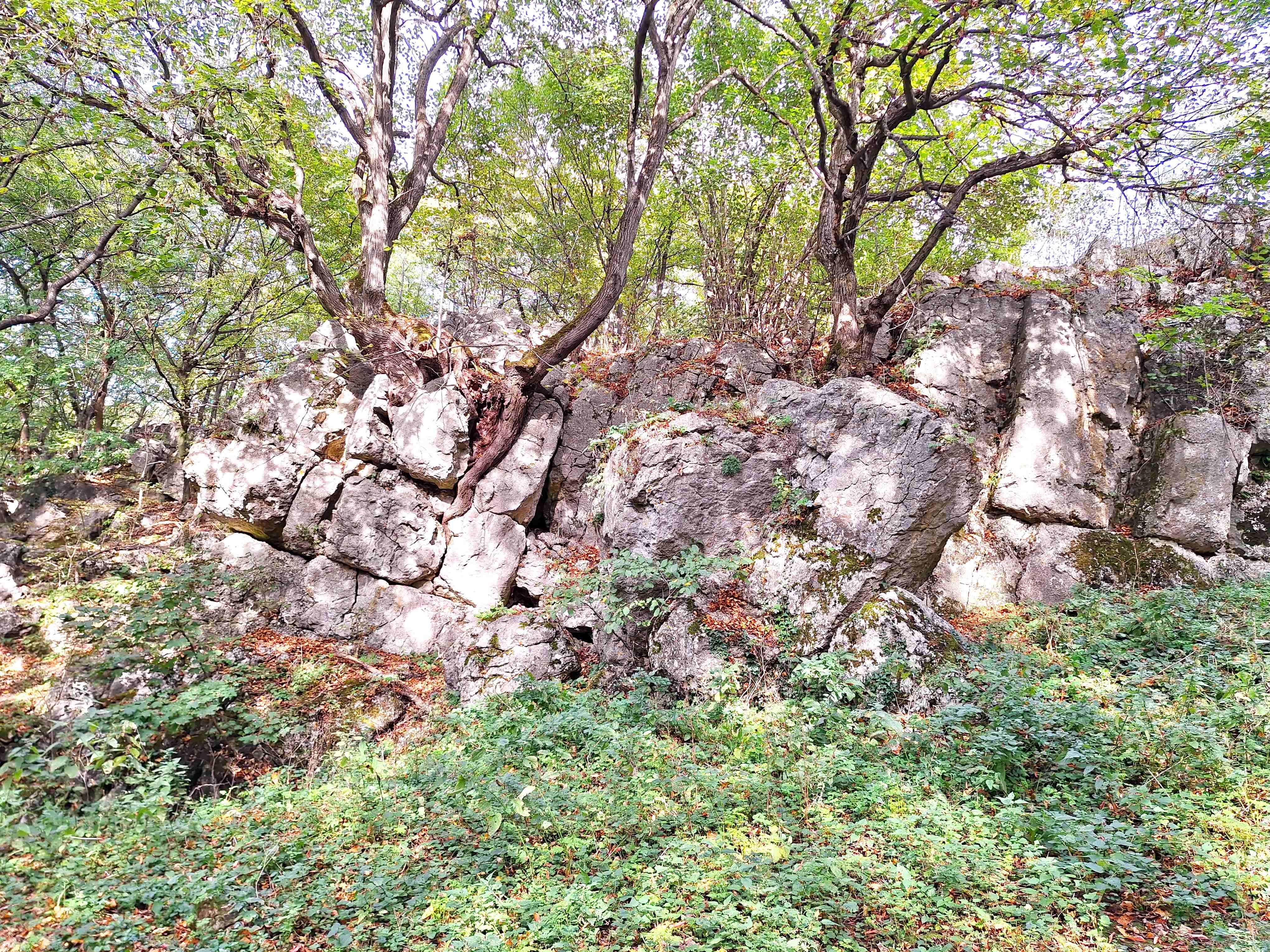 20231007_144502.jpg