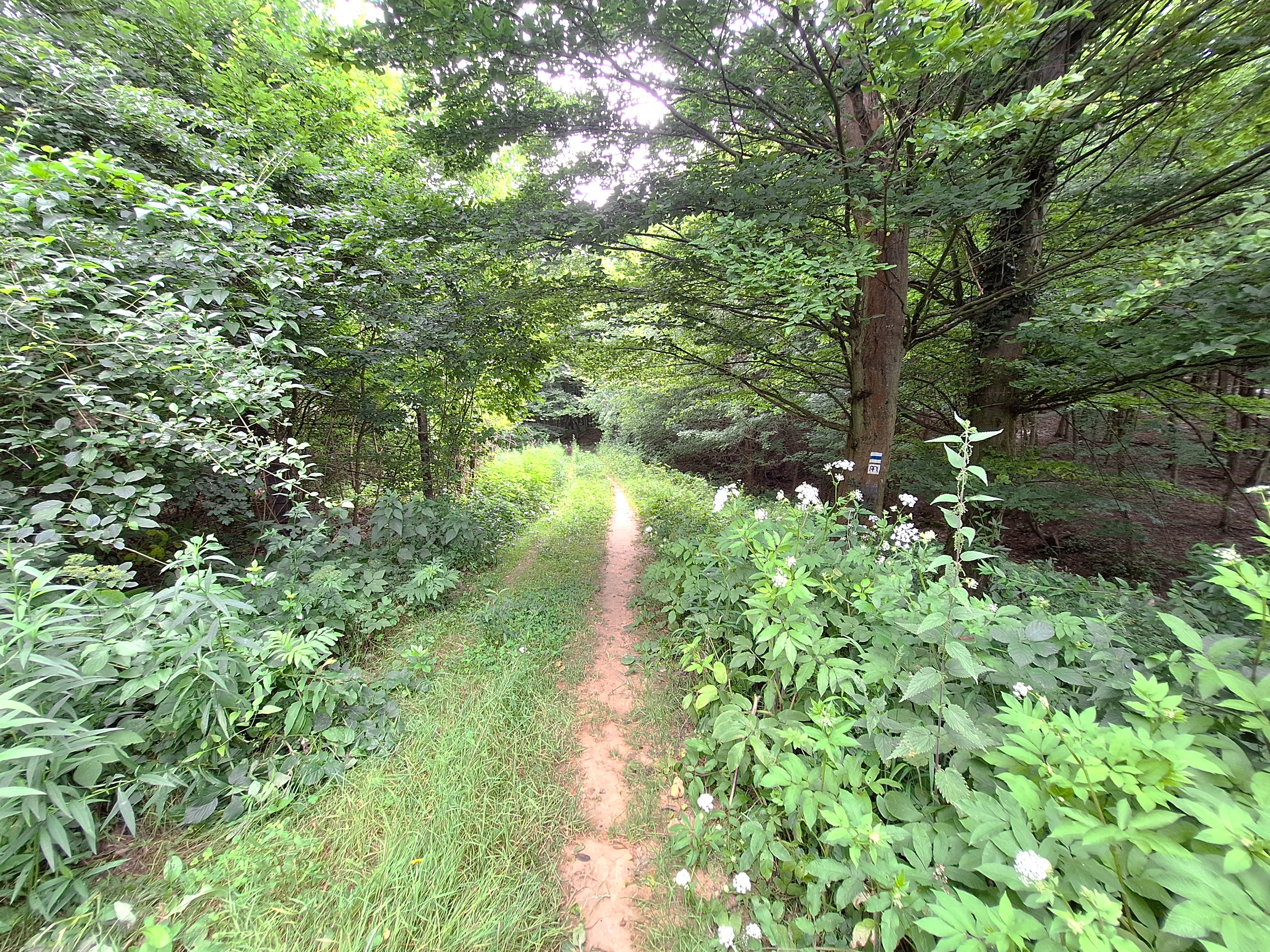 20240623_102852.jpg