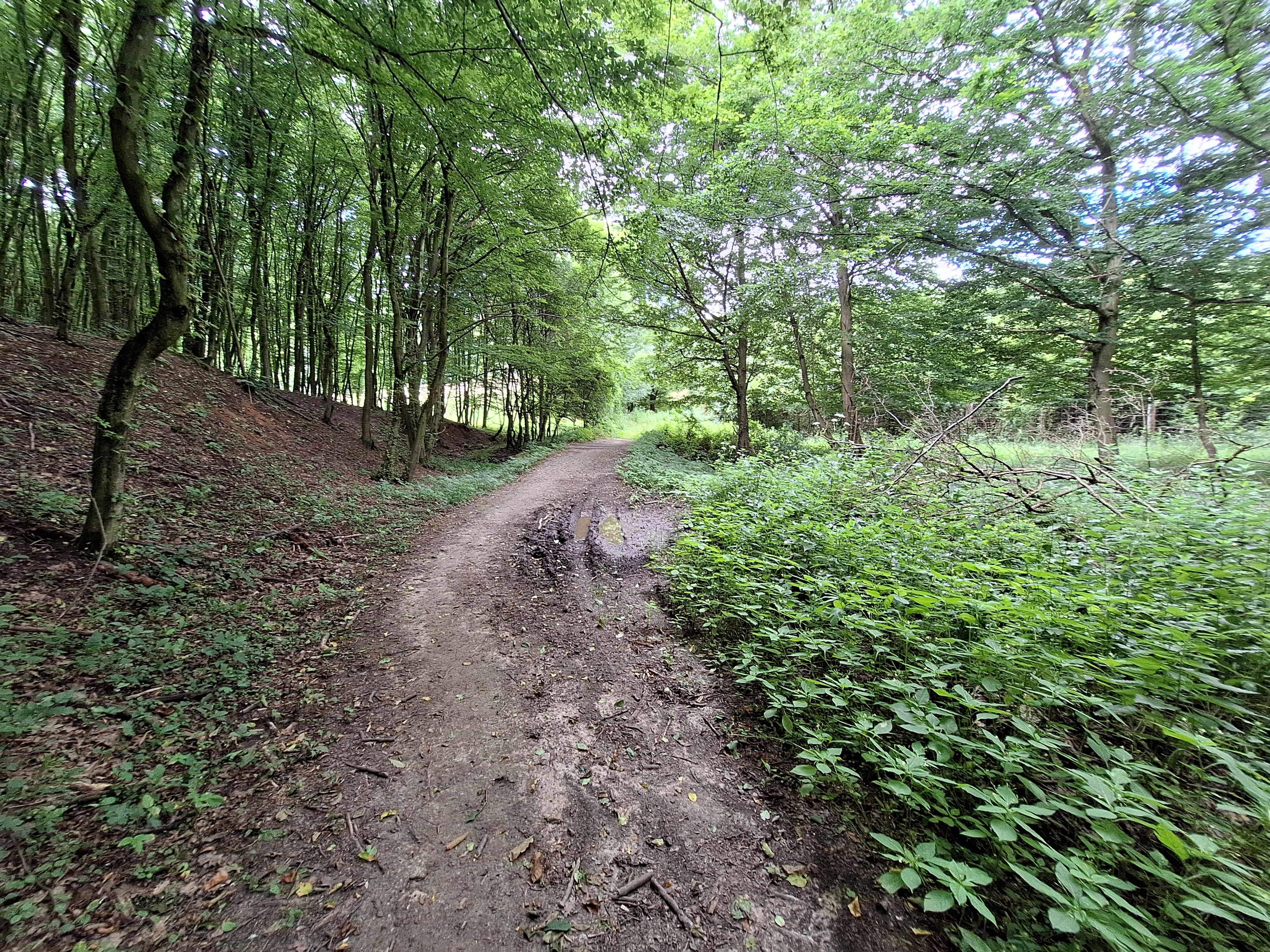 20240623_102940.jpg