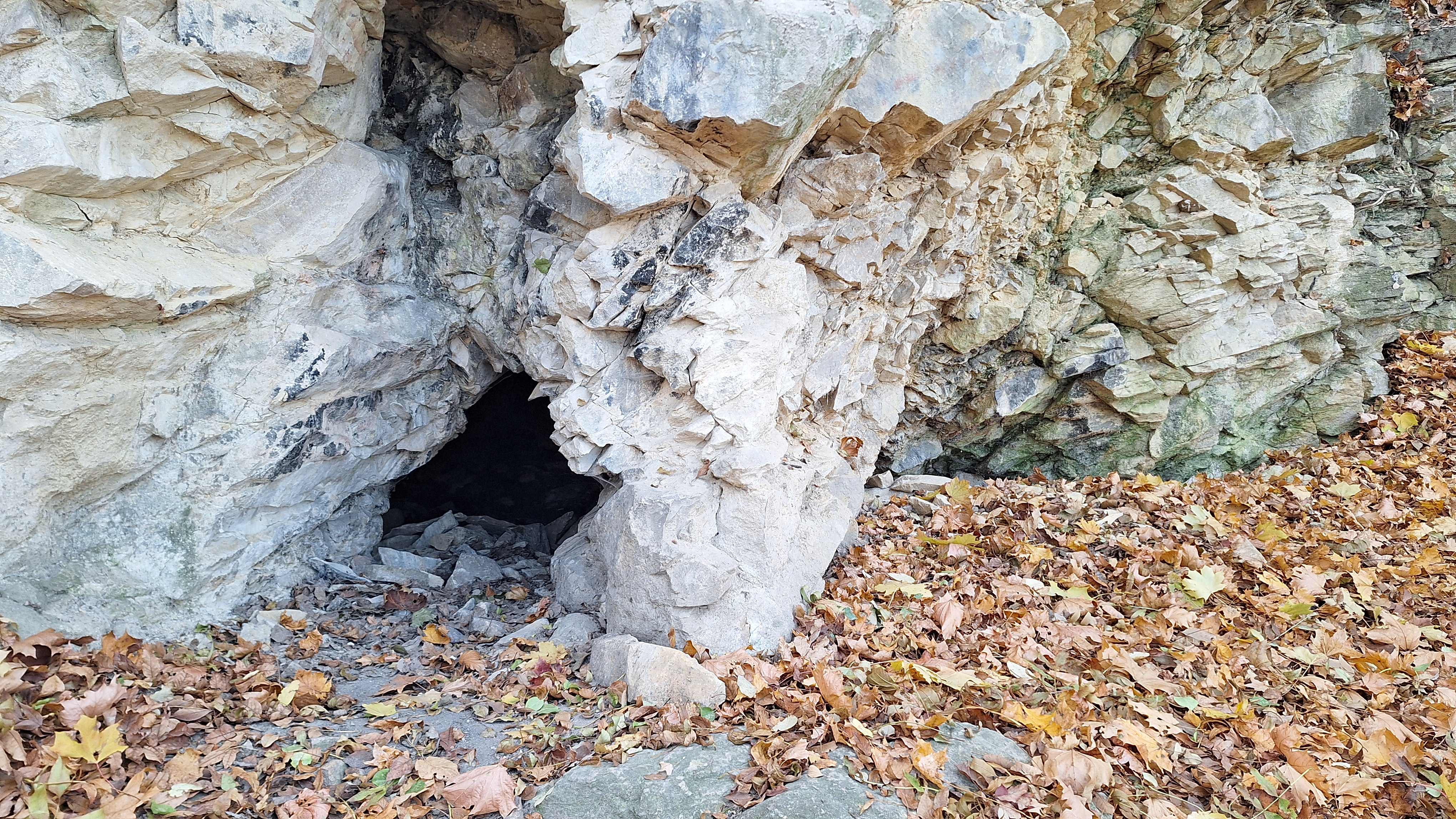 20241116_125803.jpg