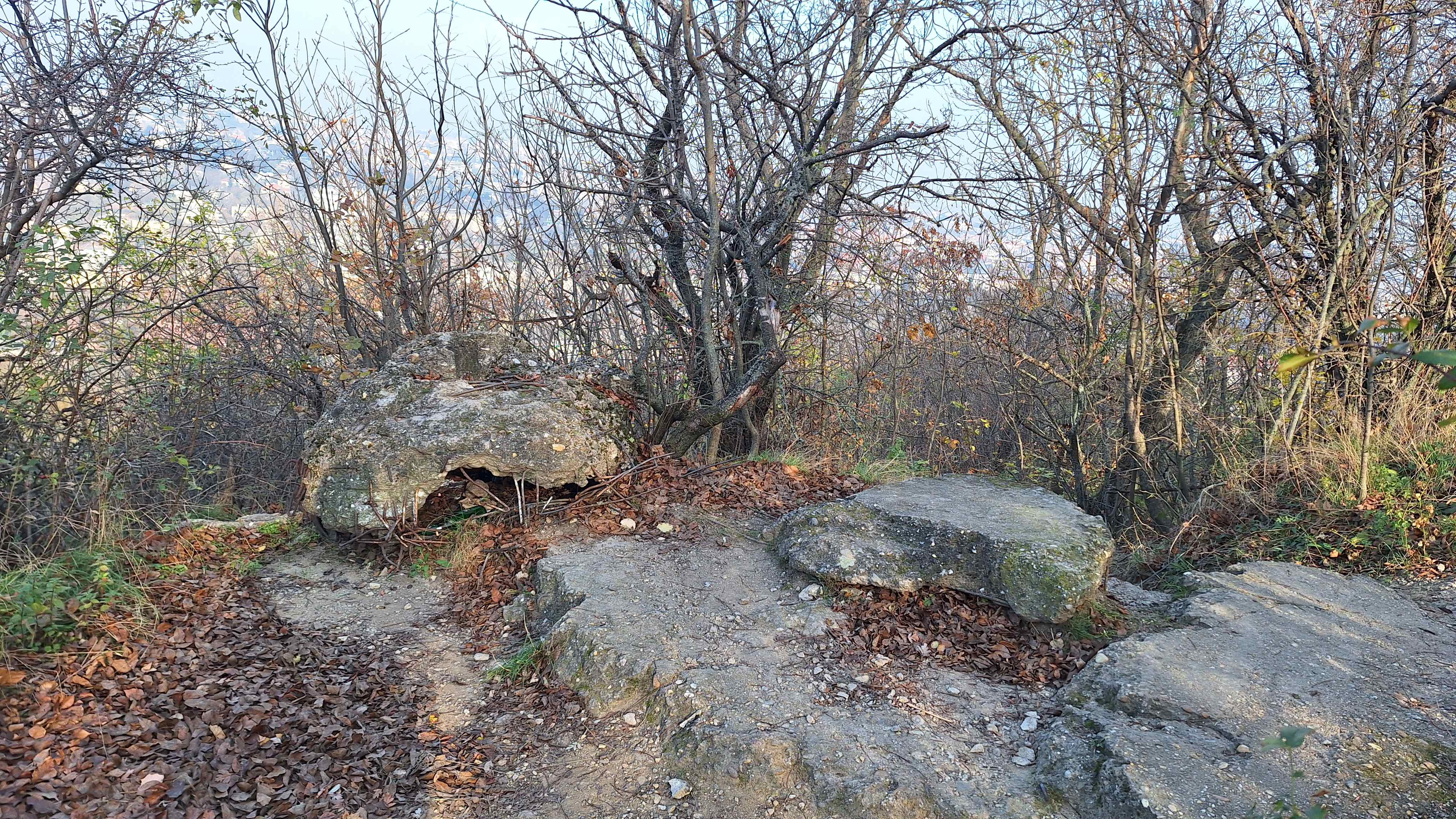 20241116_130626.jpg