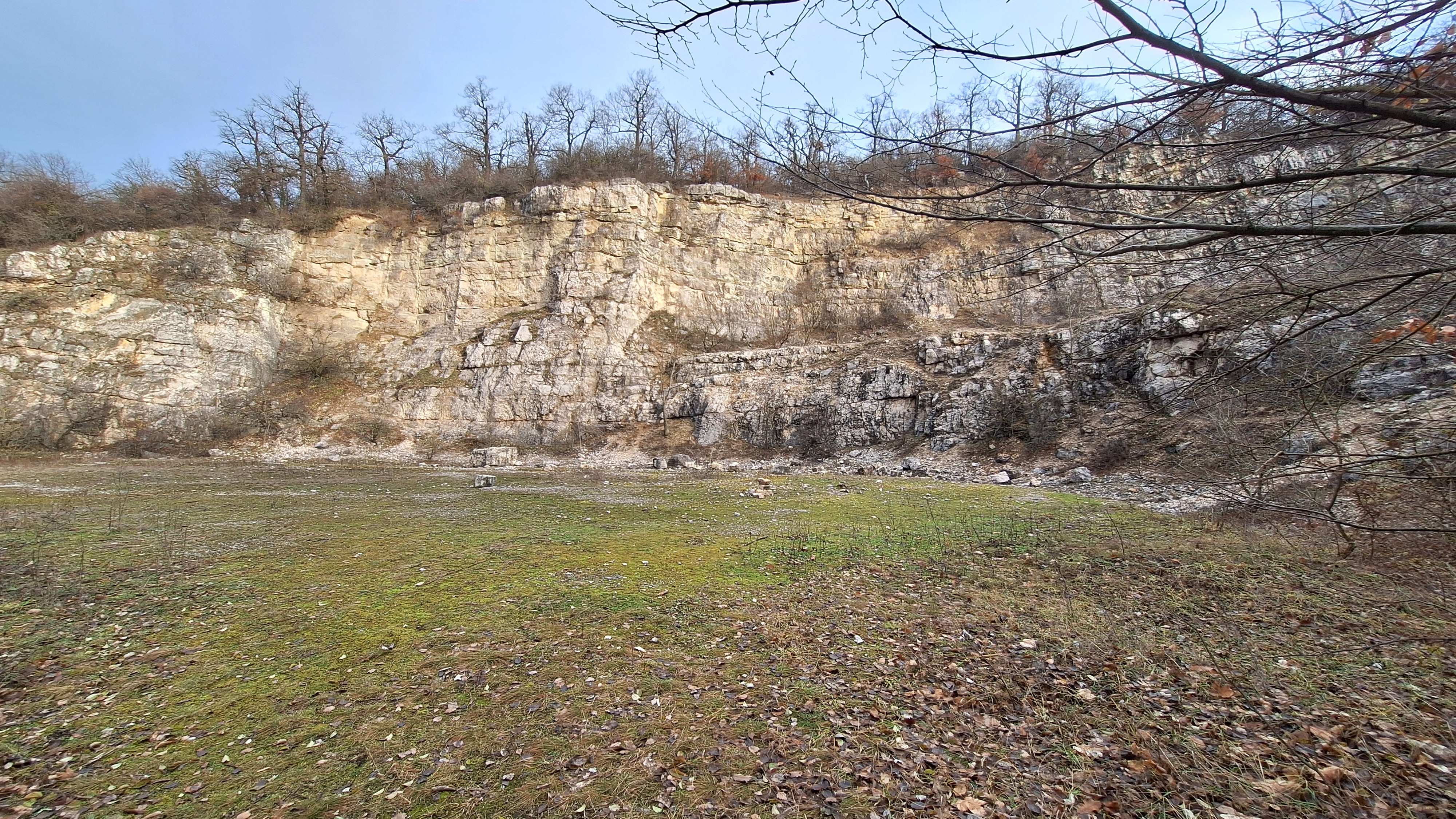20241215_091421.jpg