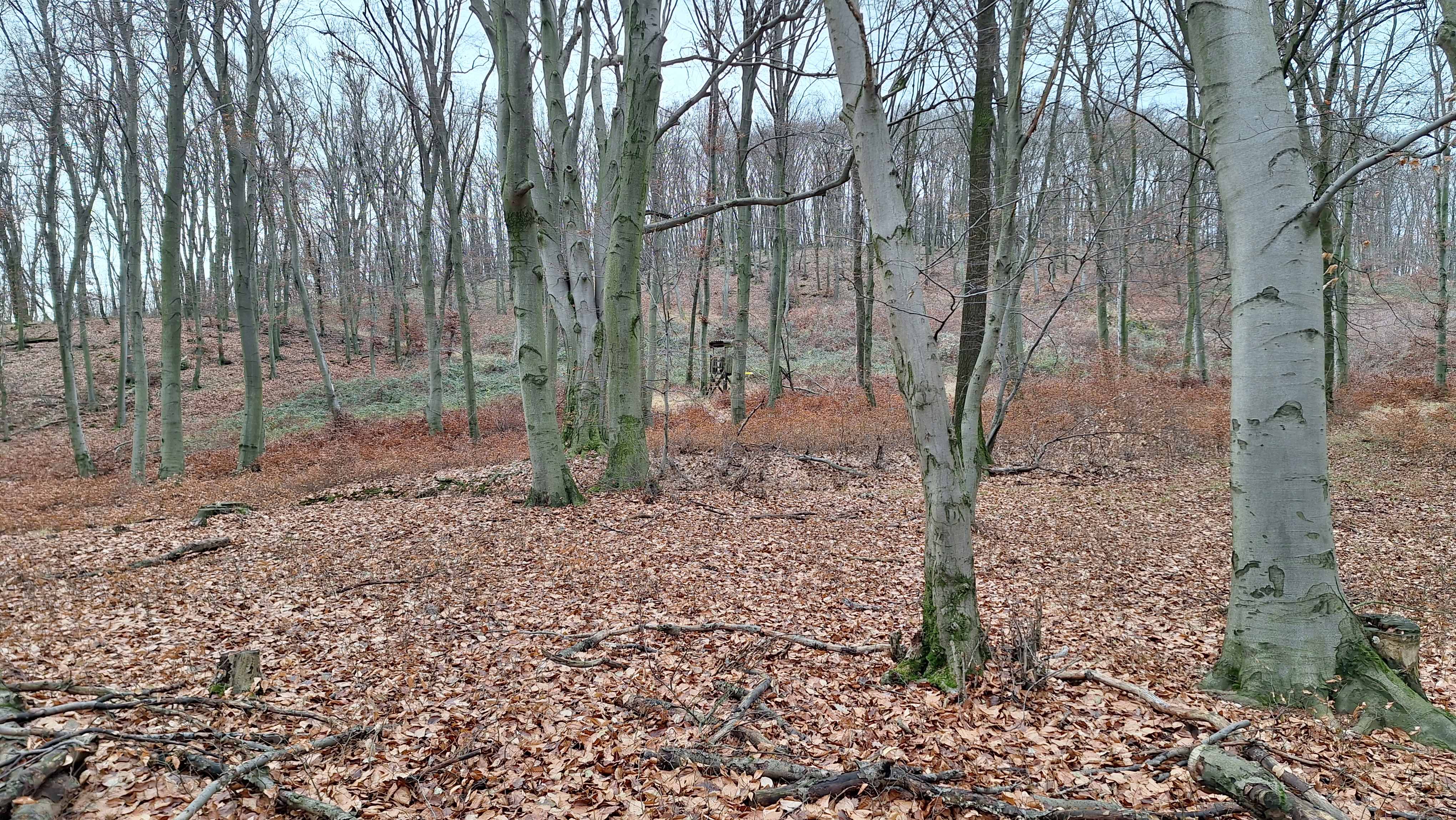 20241215_102035.jpg
