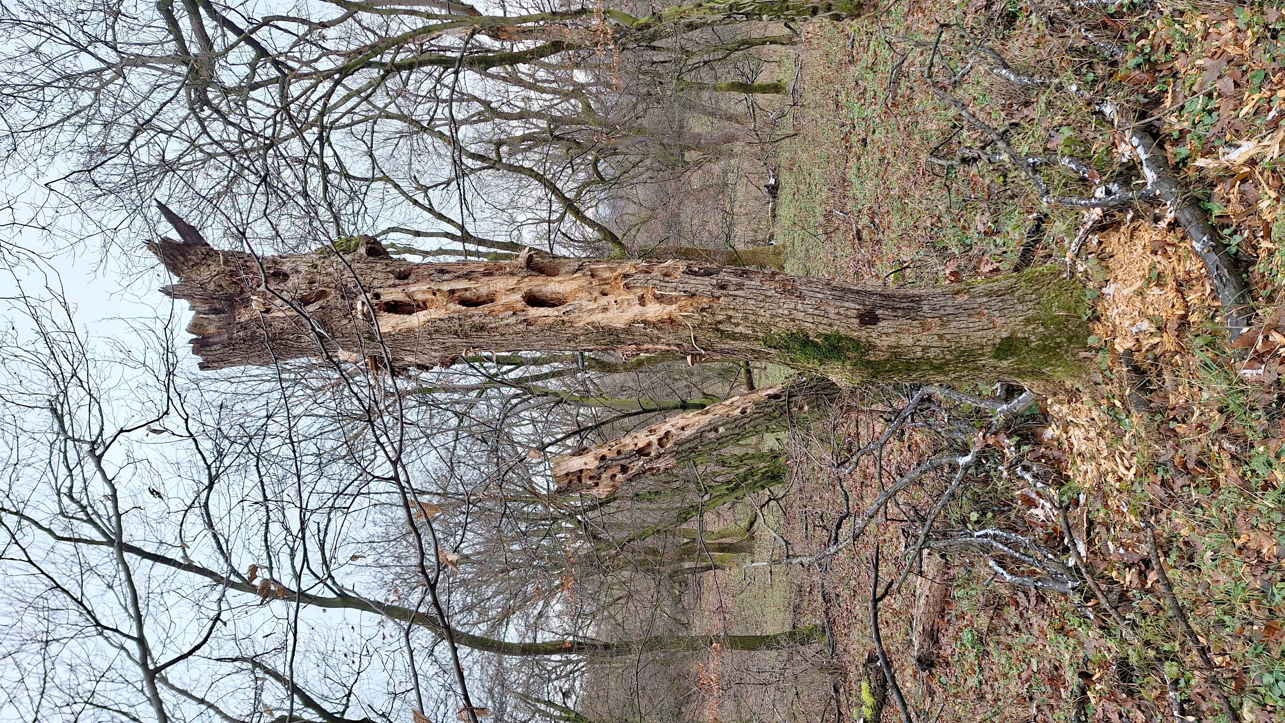 20241215_105220.jpg
