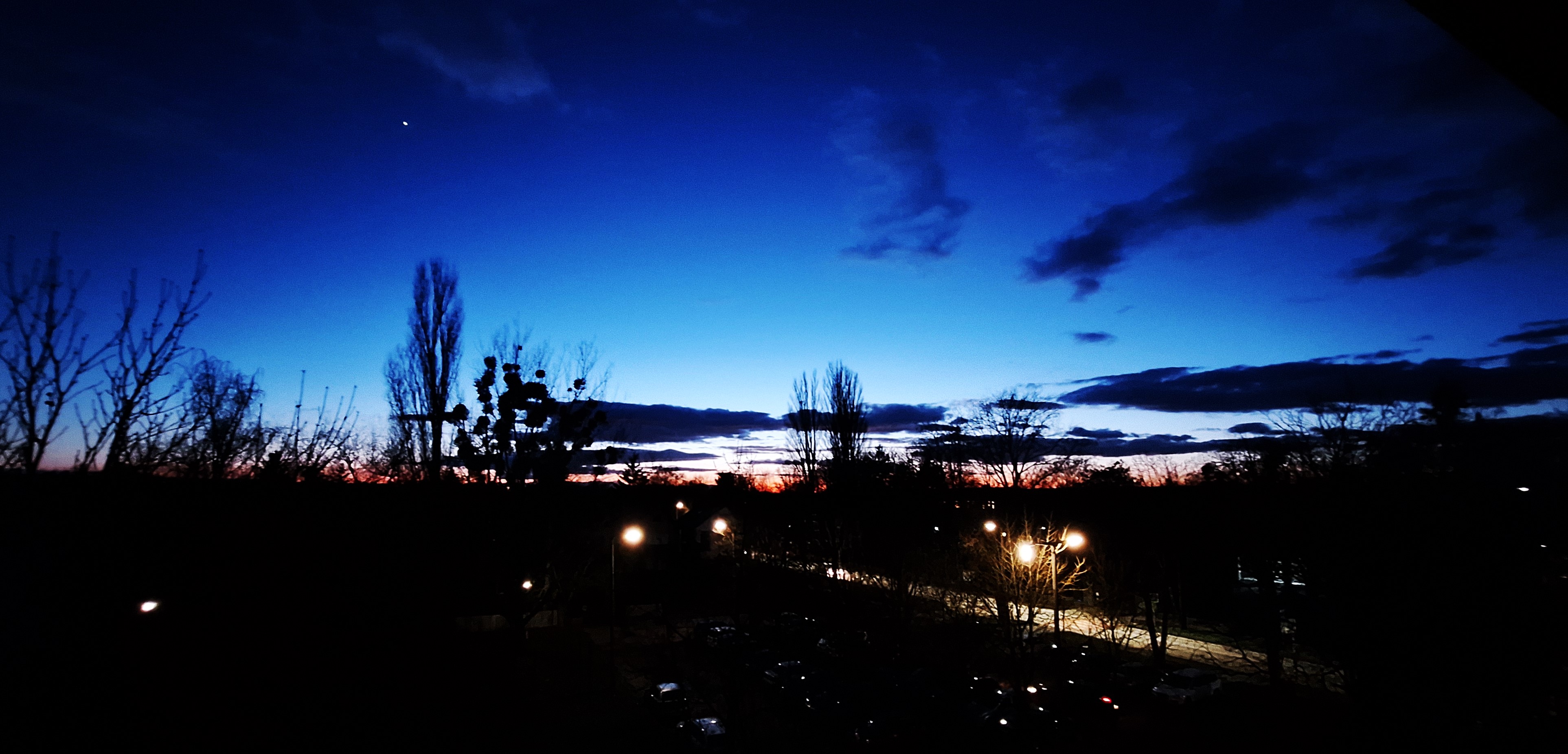 20250110_170148.jpg
