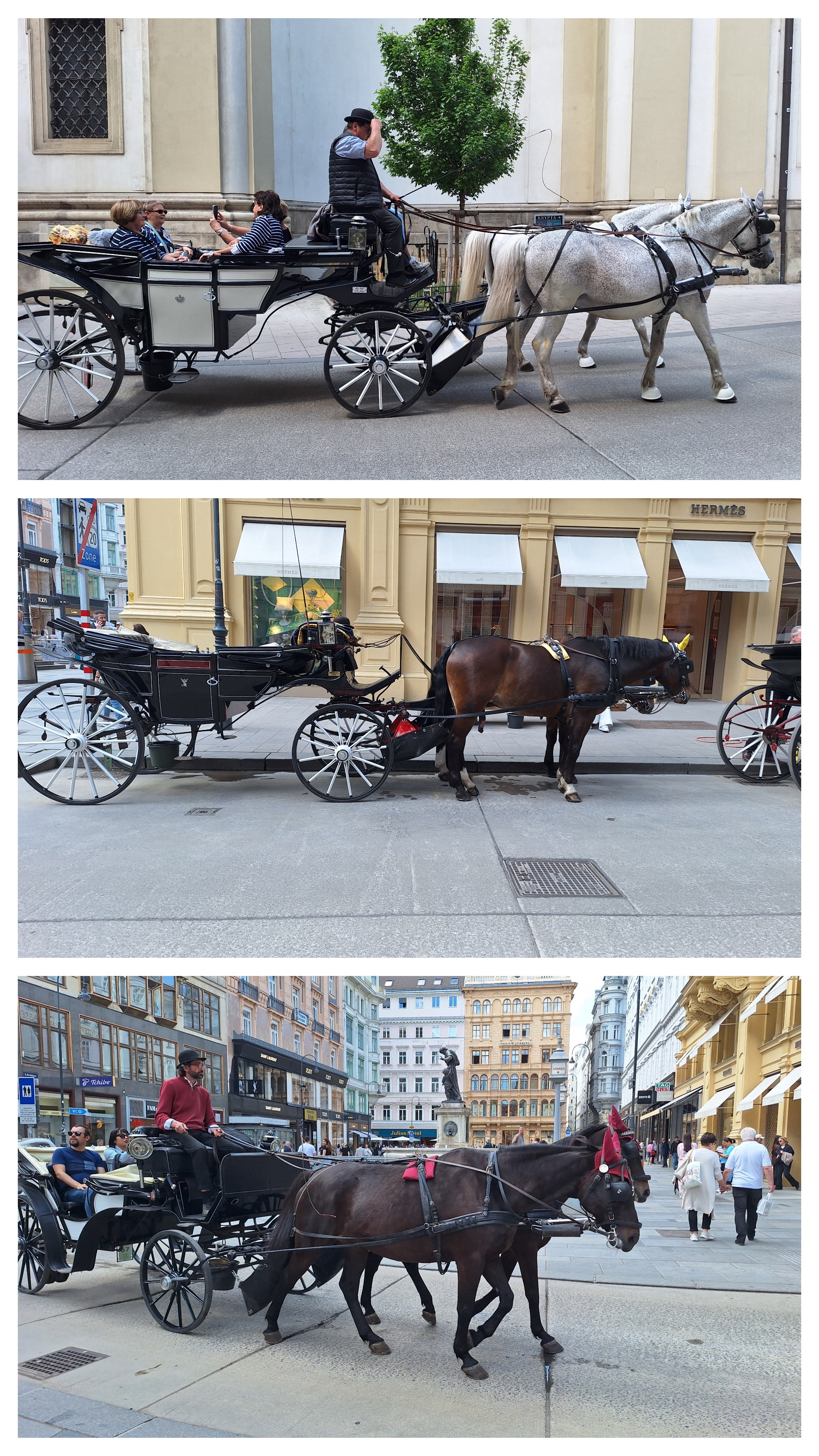 20250505_172837-collage.jpg