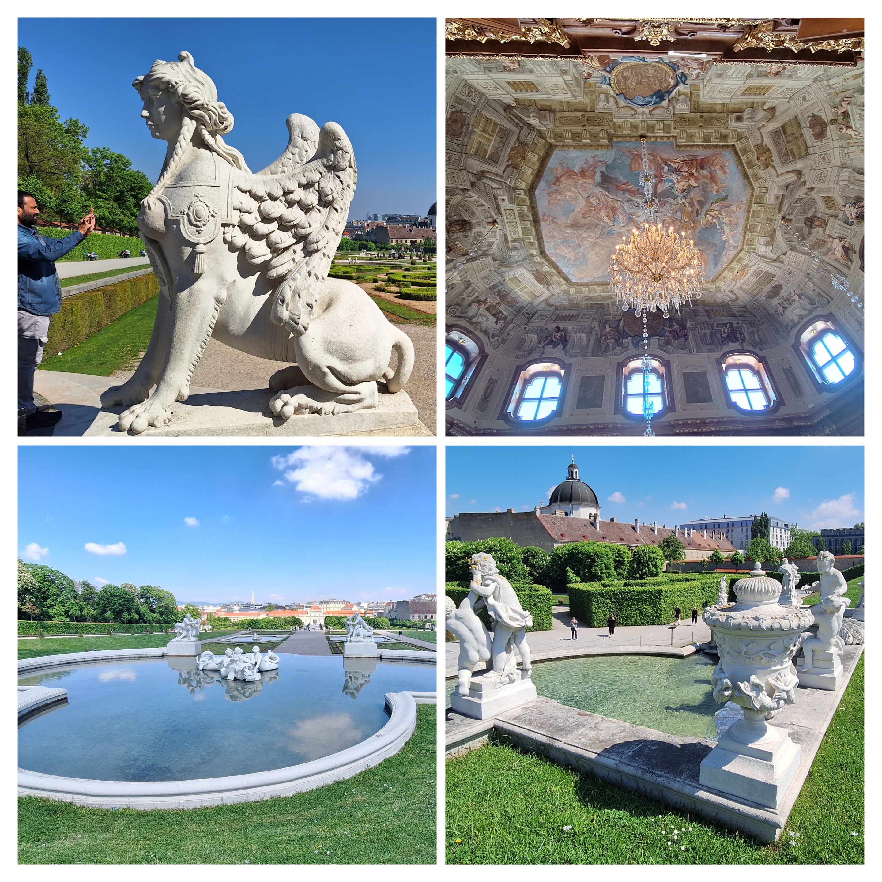 20250505_173829-collage.jpg