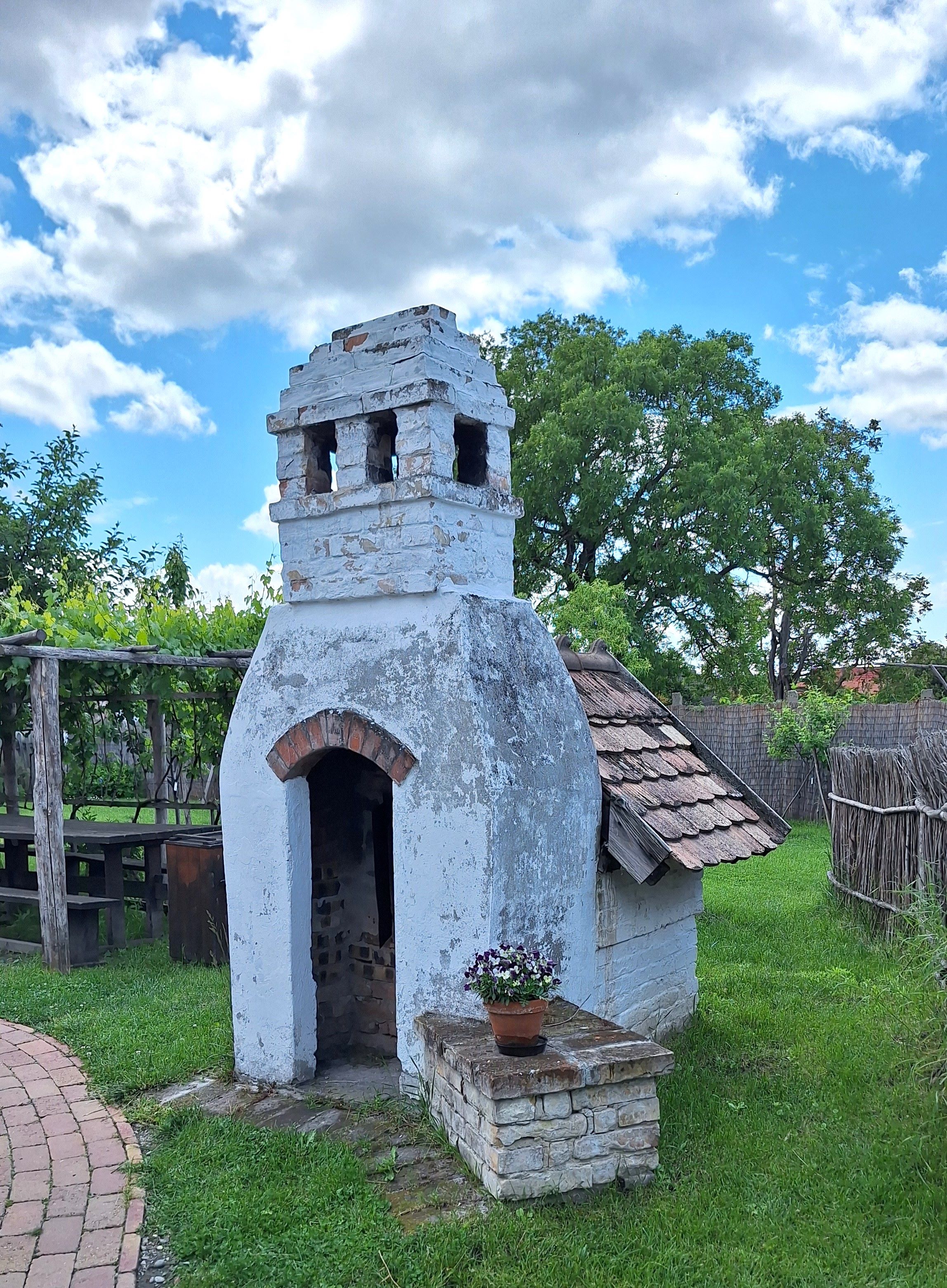 20250524_125033.jpg