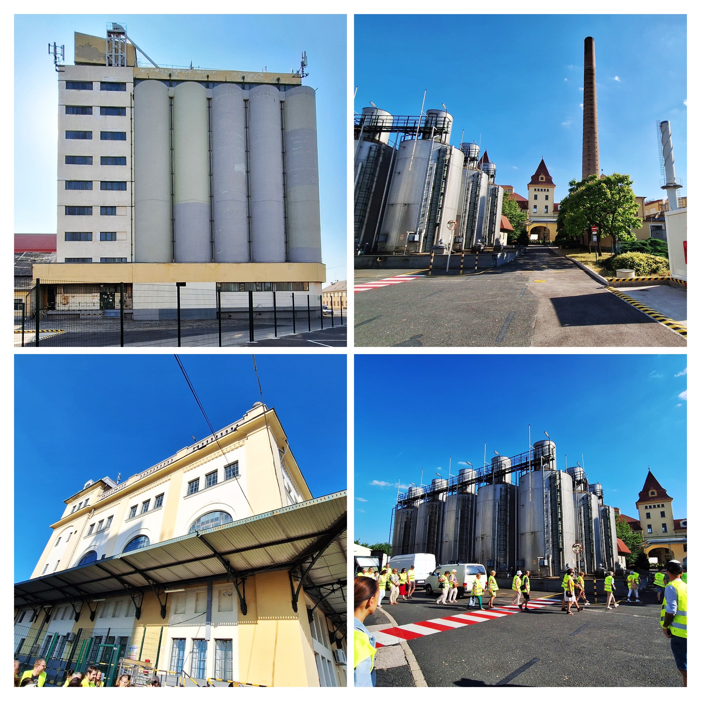 20250622_164149-collage.jpg