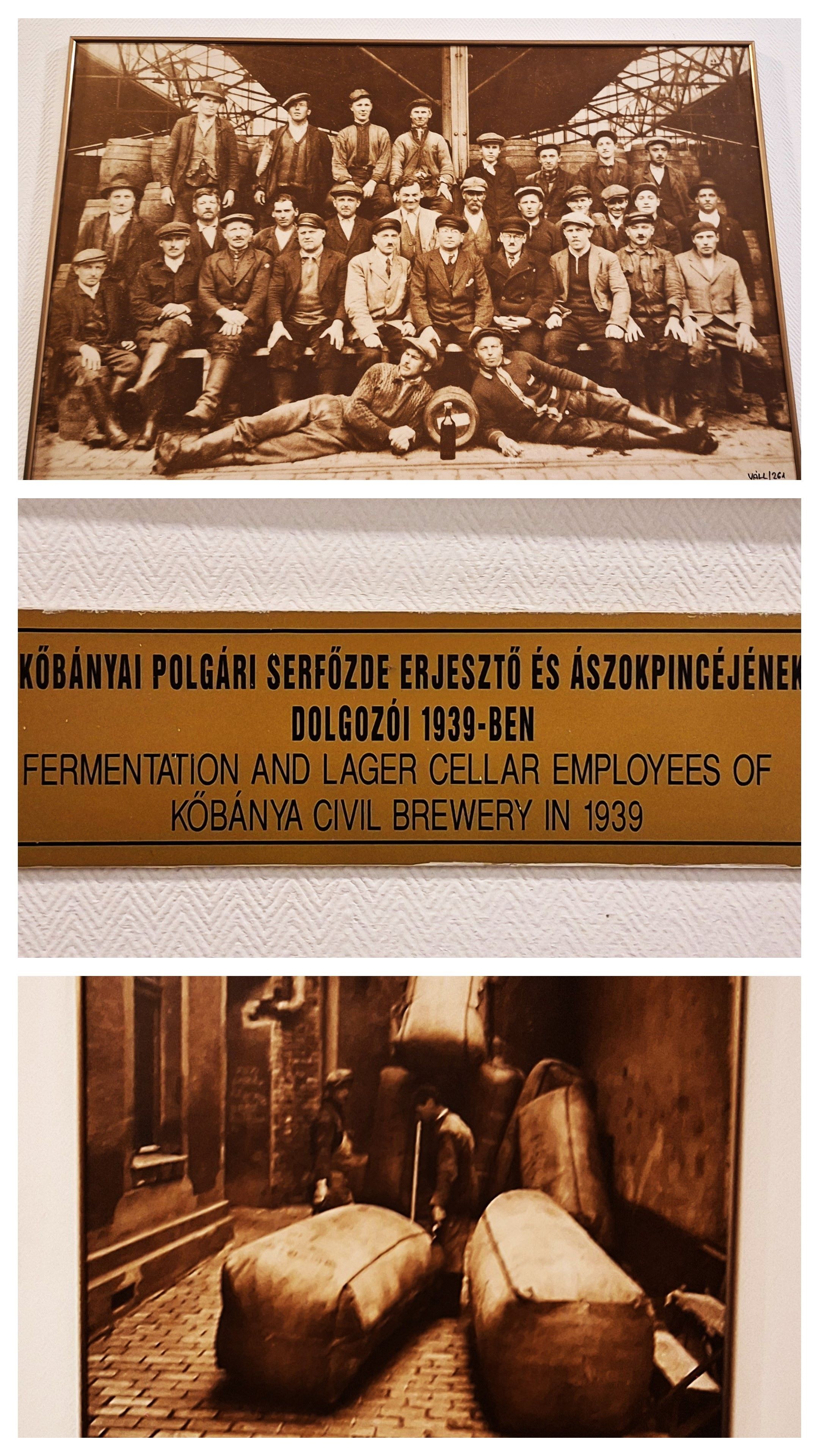 20250622_164730-collage.jpg