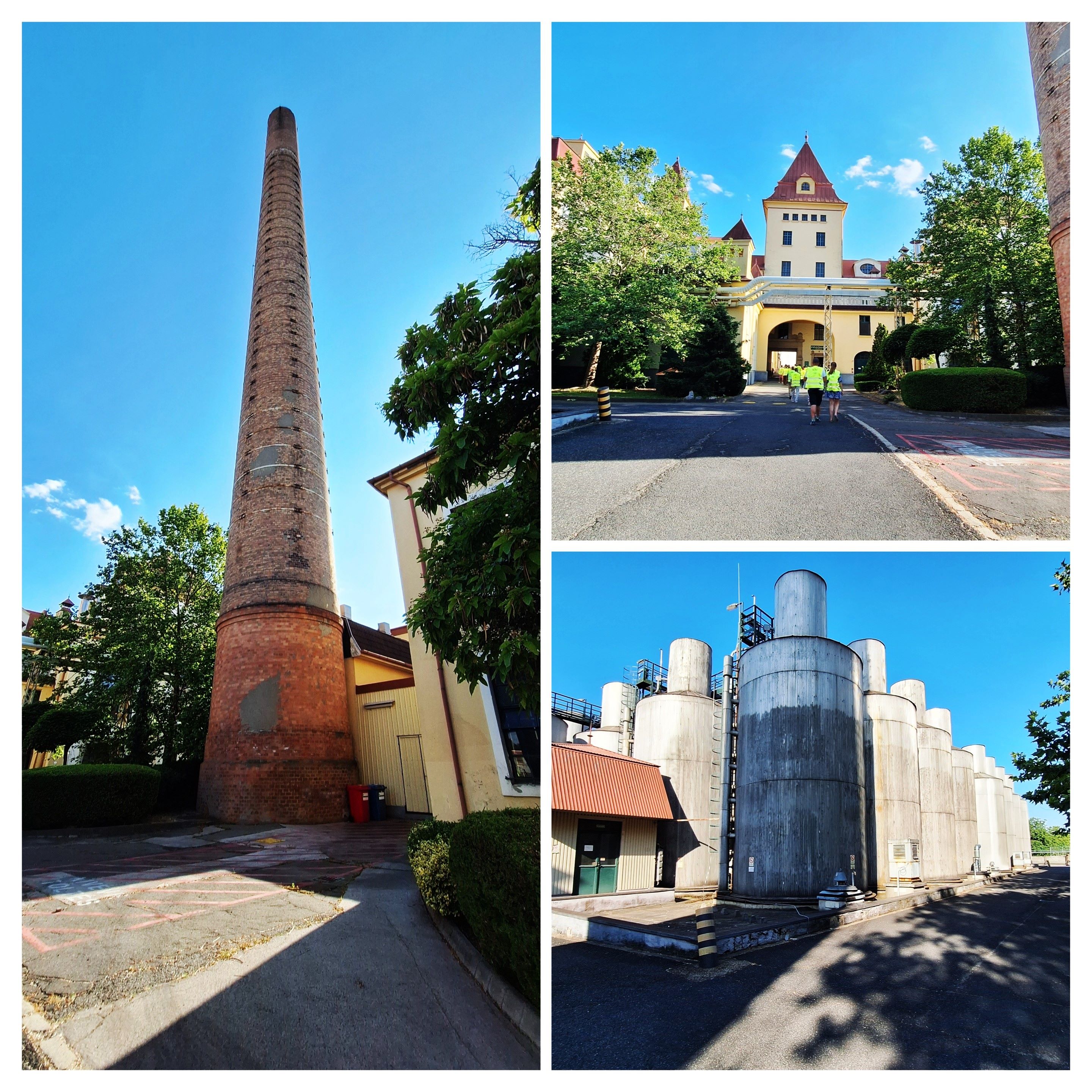 20250622_165000-collage.jpg