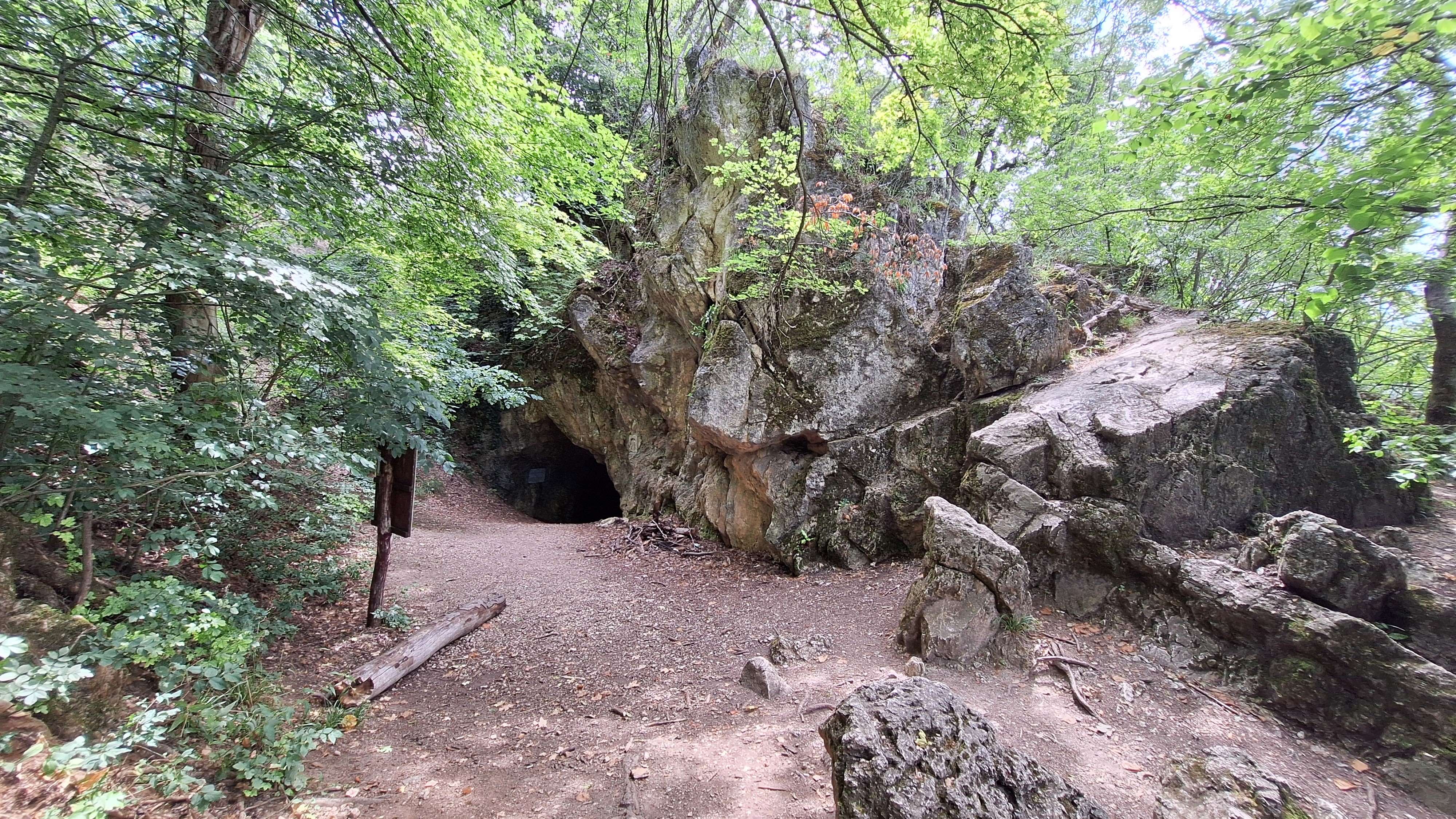 20250716_110254.jpg