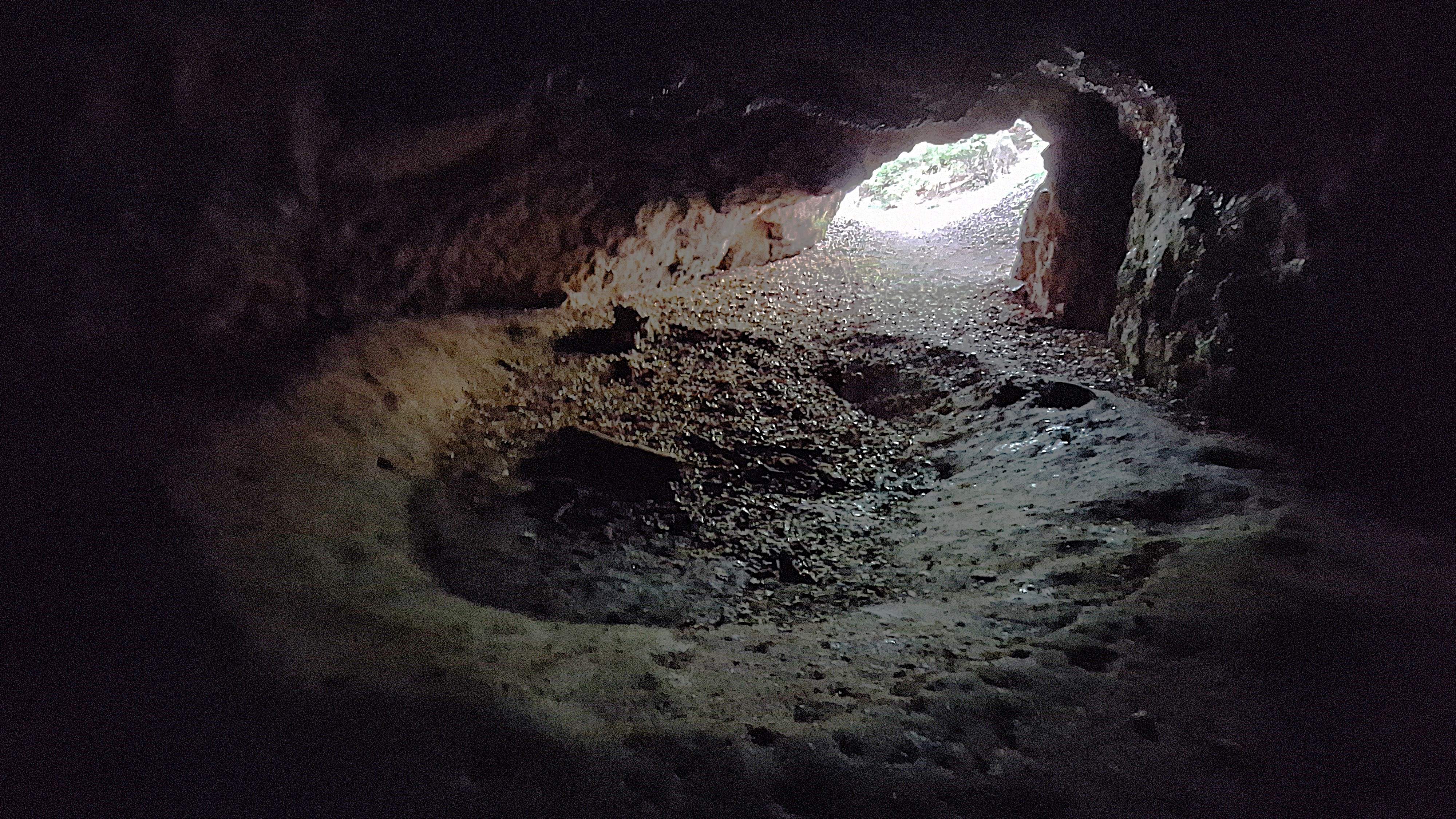 20250716_110724.jpg