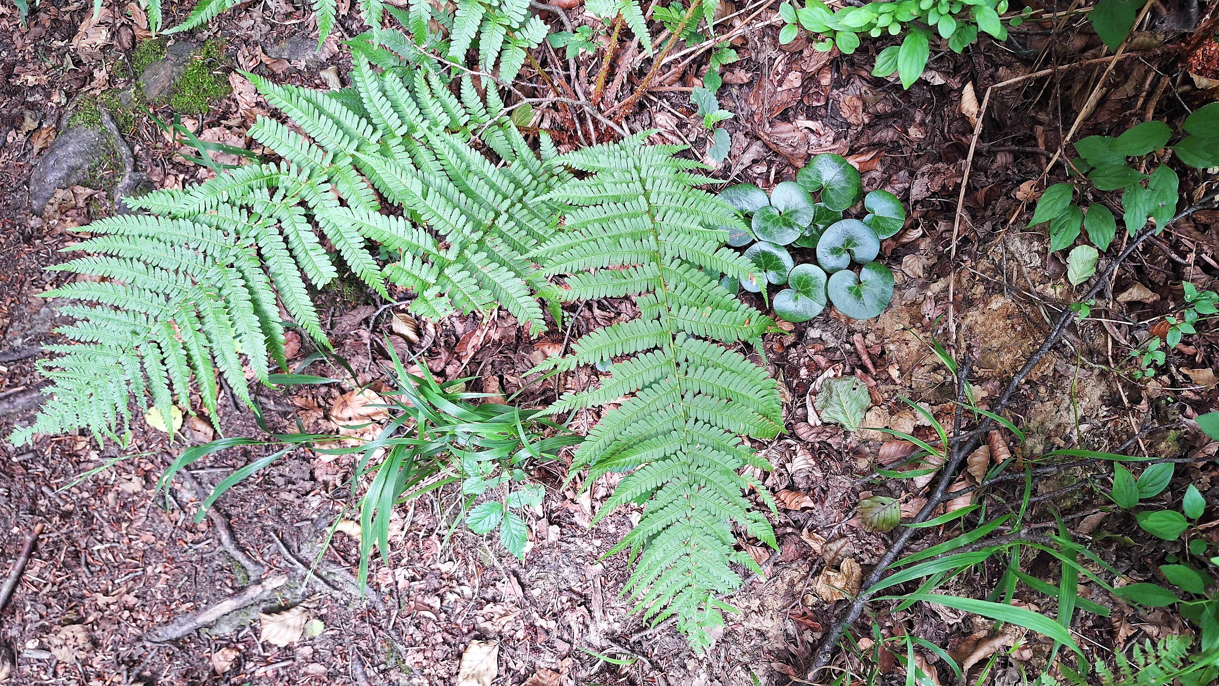 20250716_123253.jpg