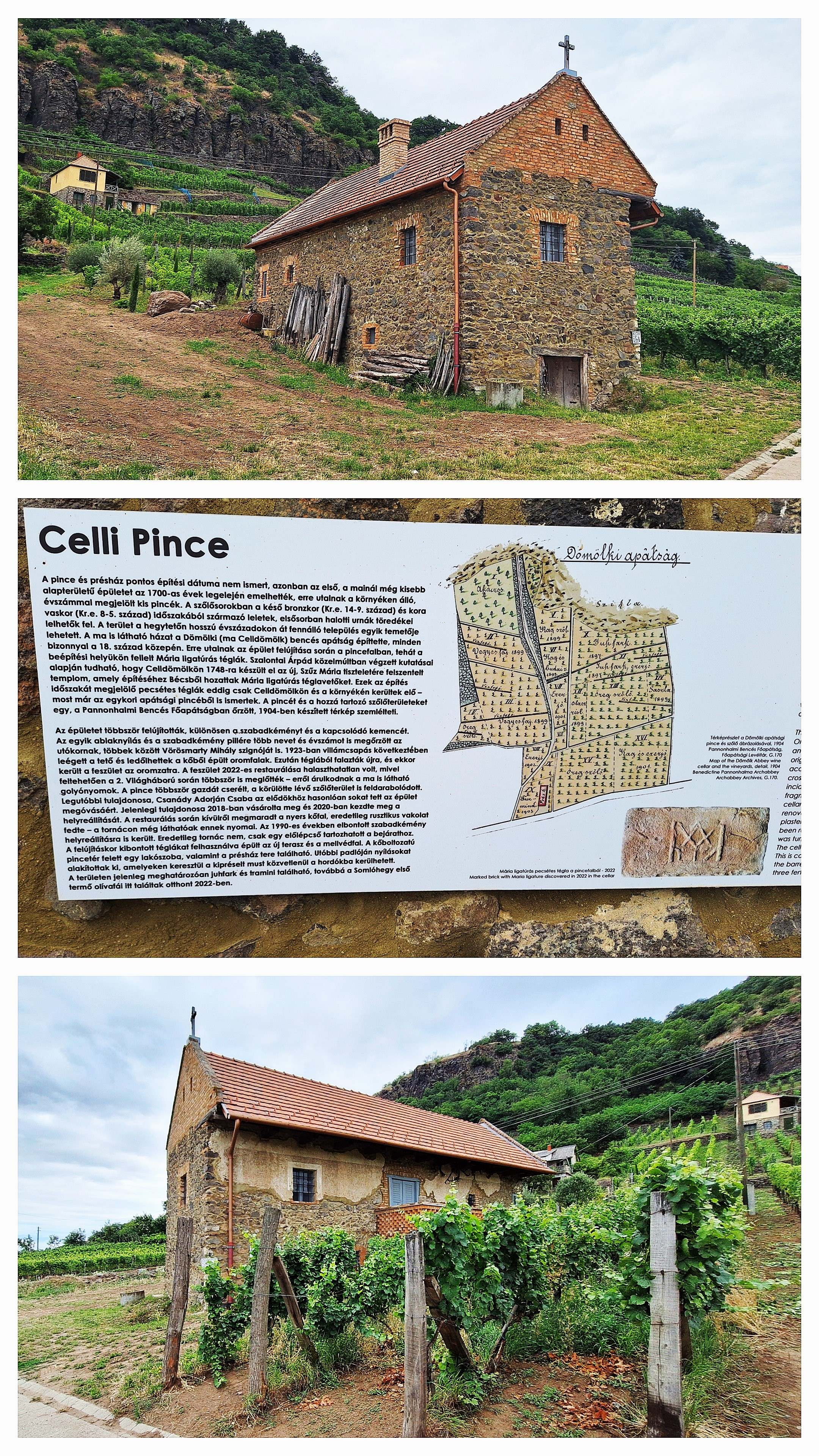 20250802_141520-collage.jpg
