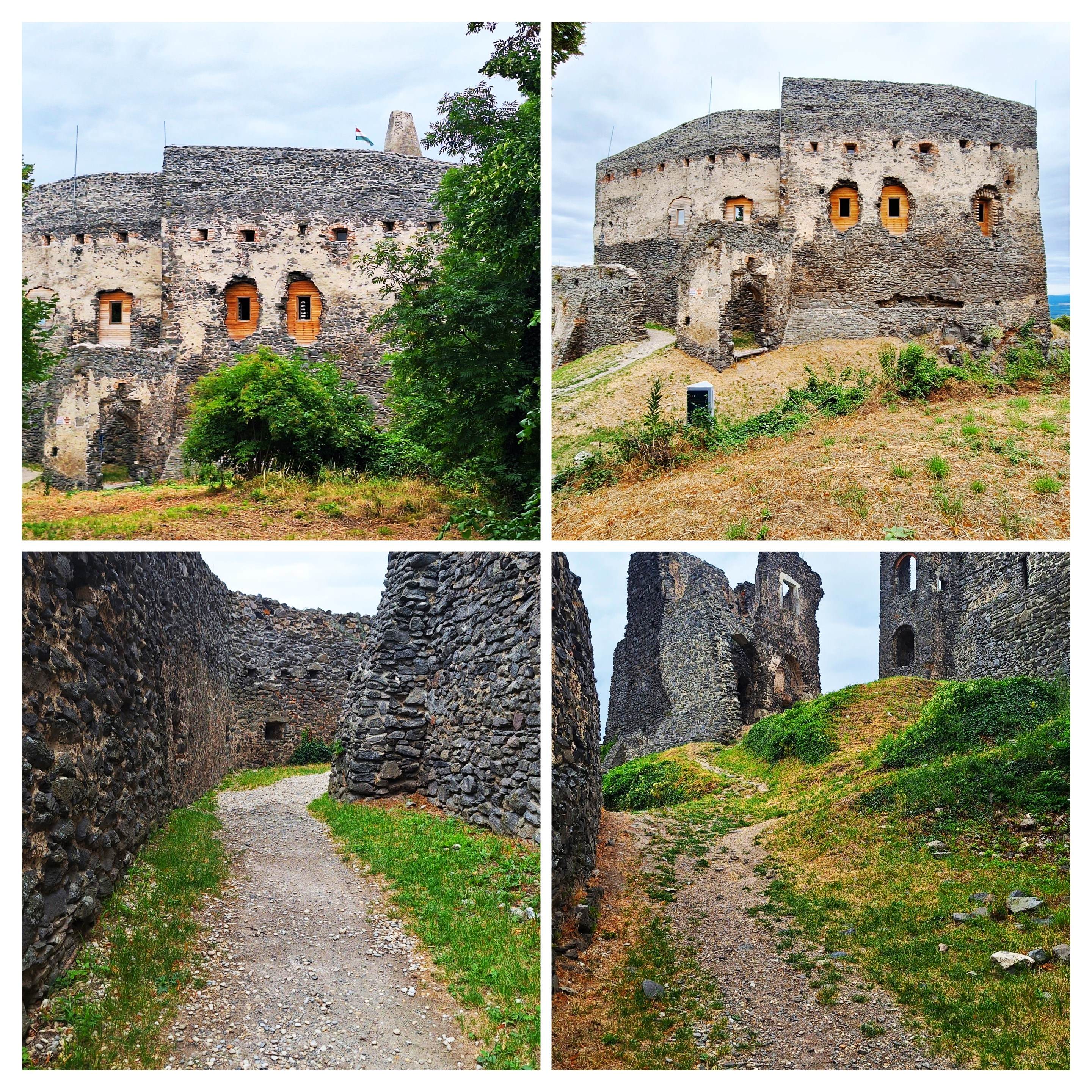 20250802_142212-collage.jpg