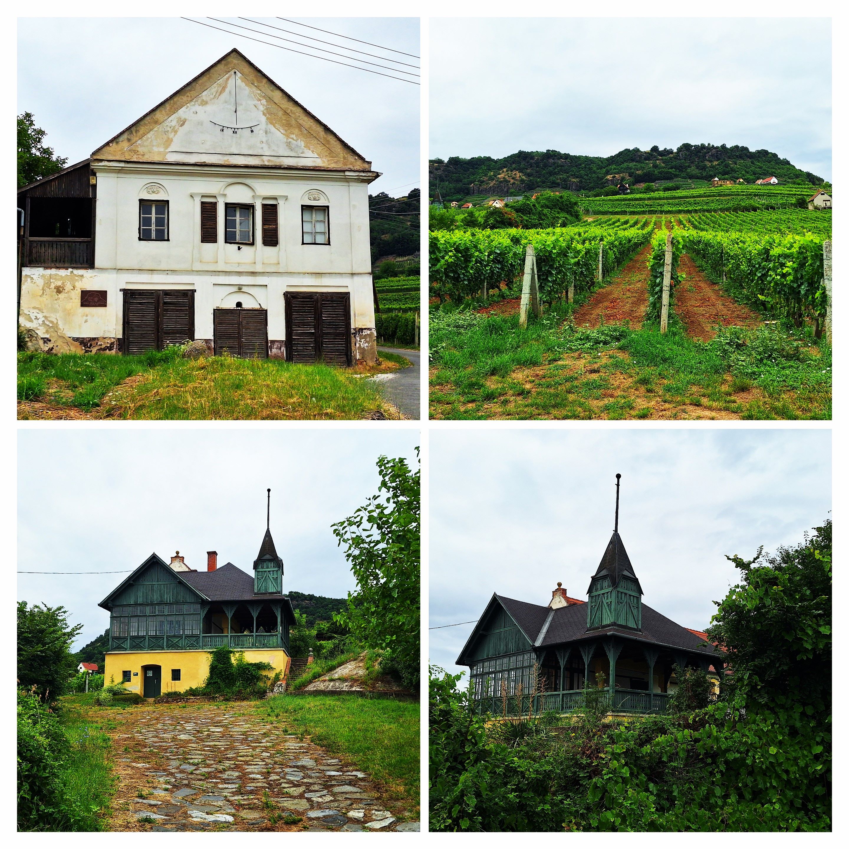 20250802_142719-collage.jpg