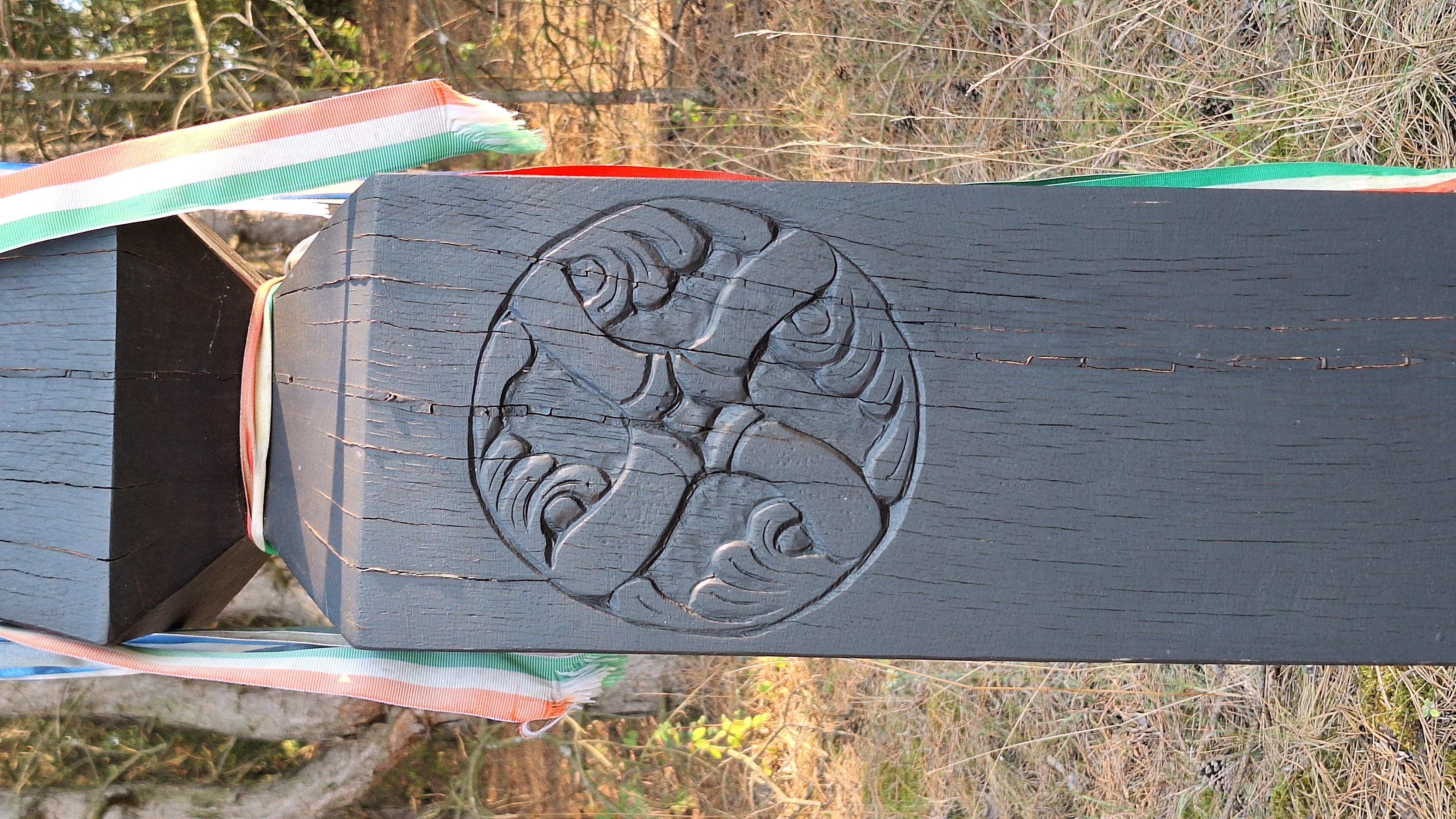 20250816_173502.jpg