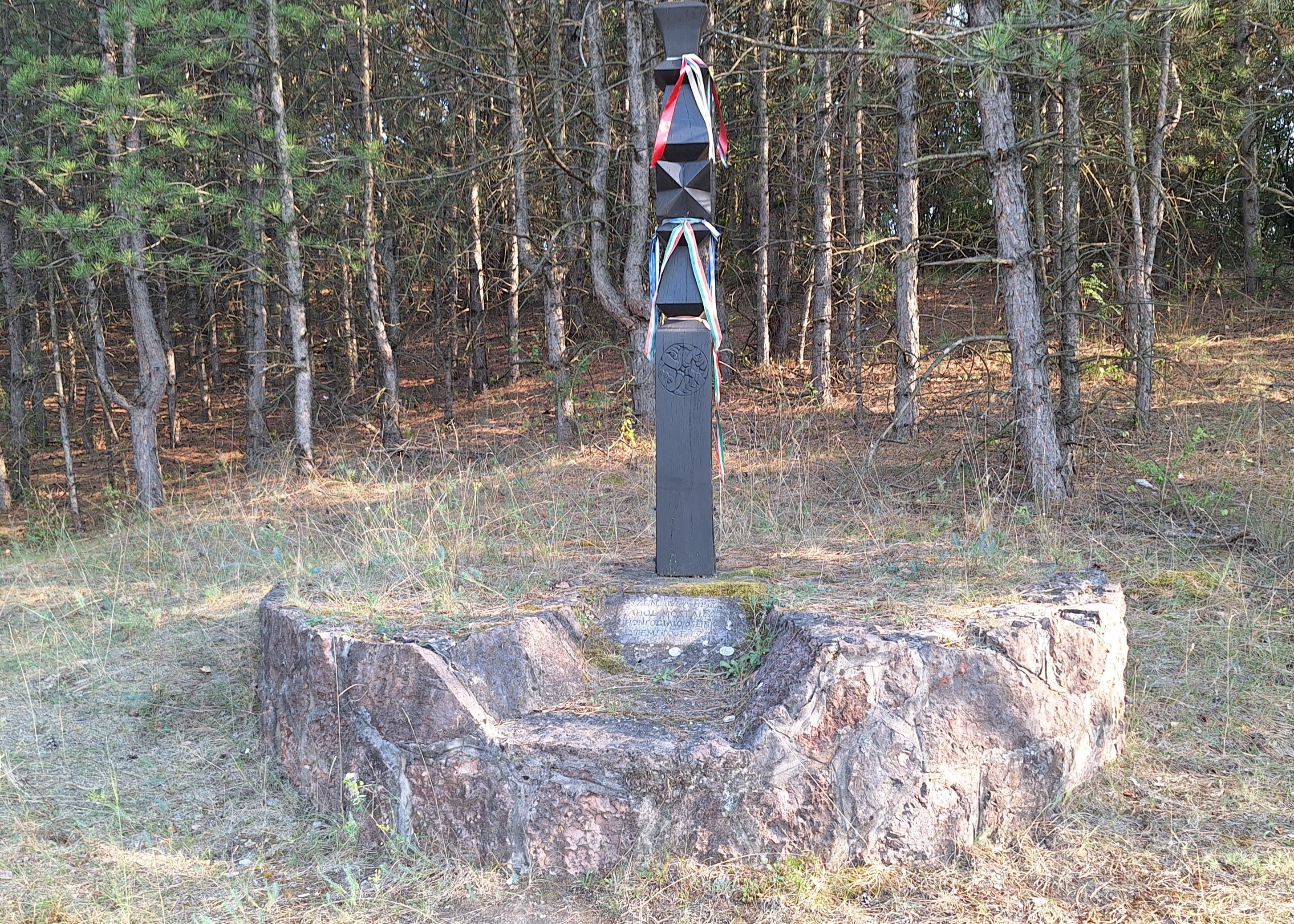 20250816_173546.jpg