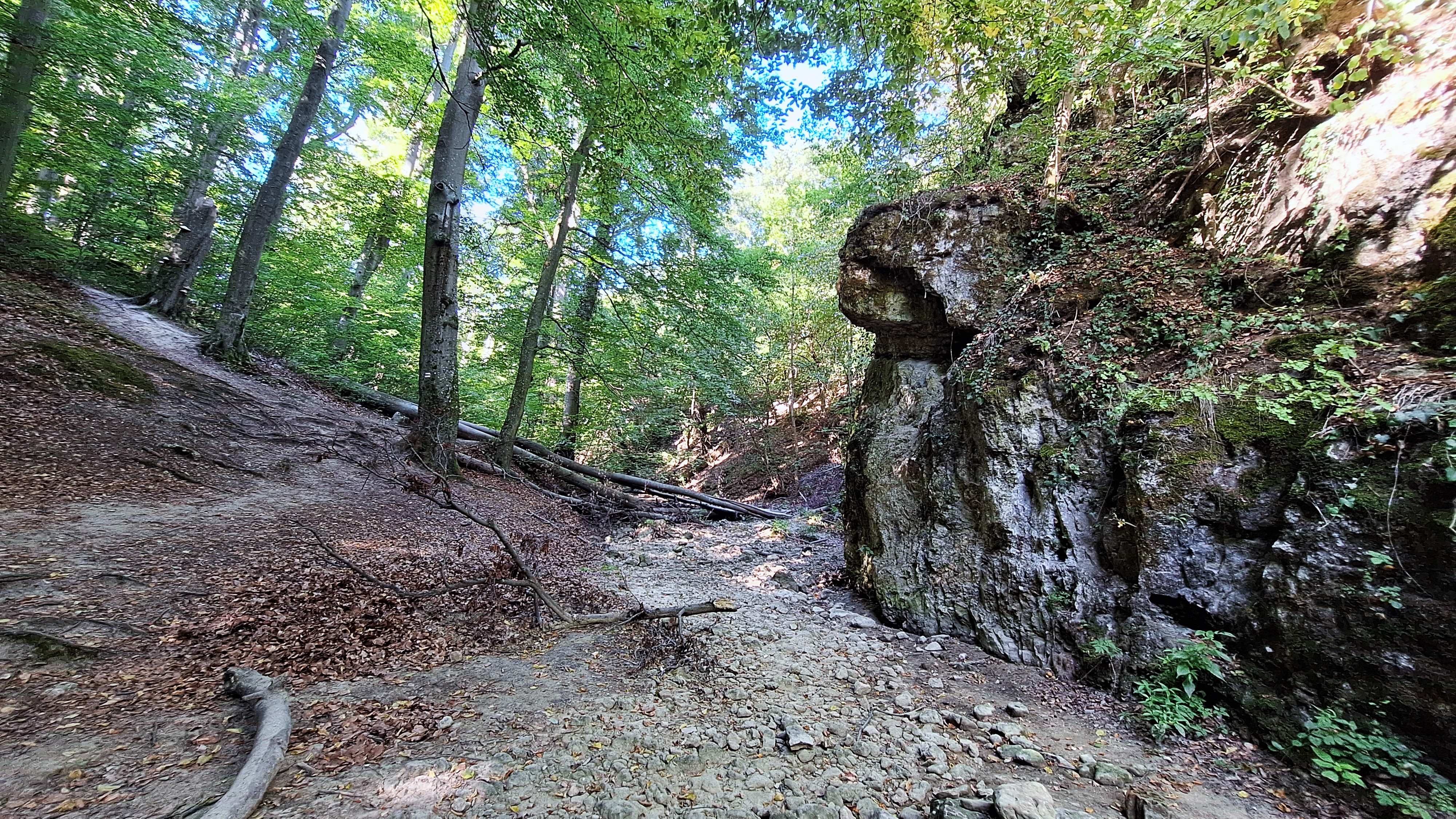 20250819_093922.jpg