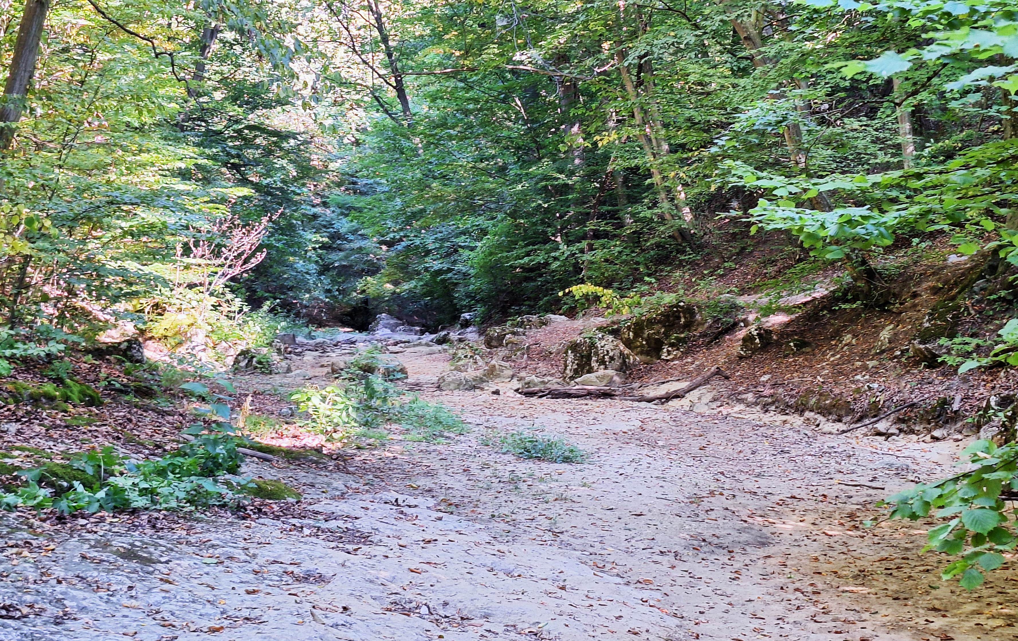 20250819_094510.jpg