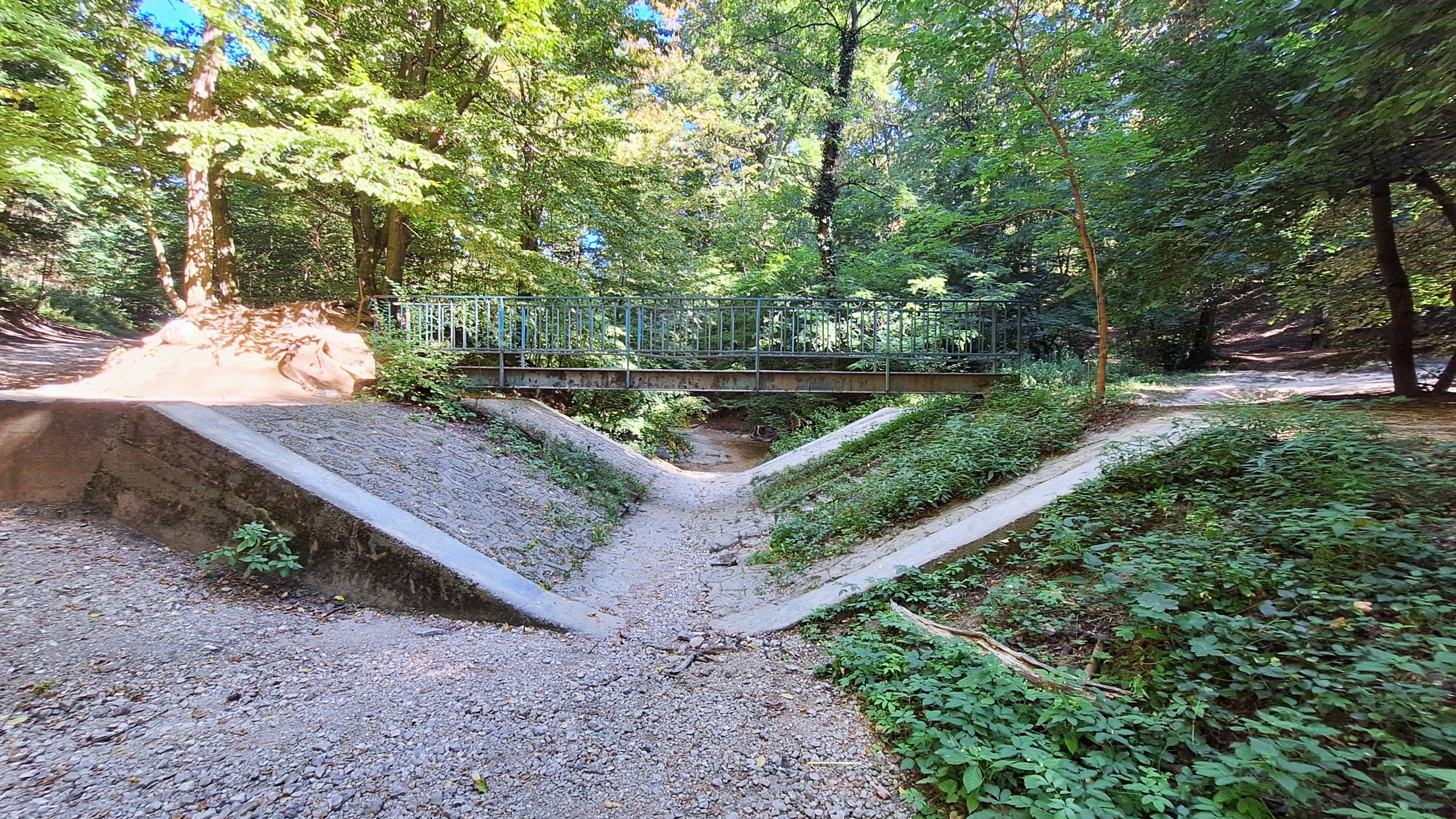 20250819_094555.jpg