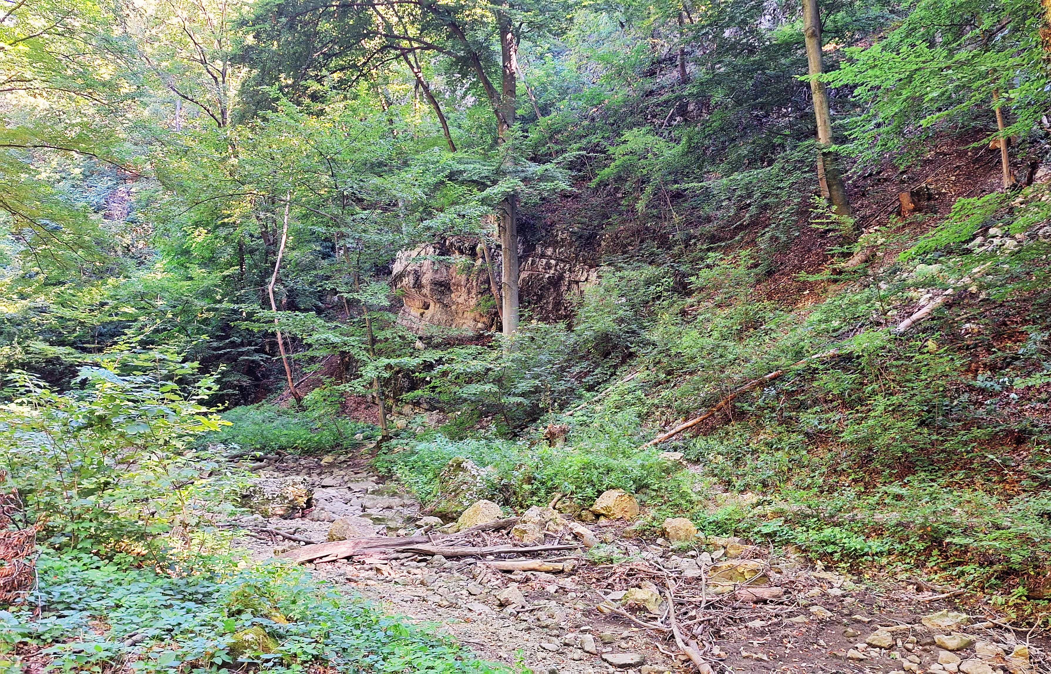 20250819_100213.jpg