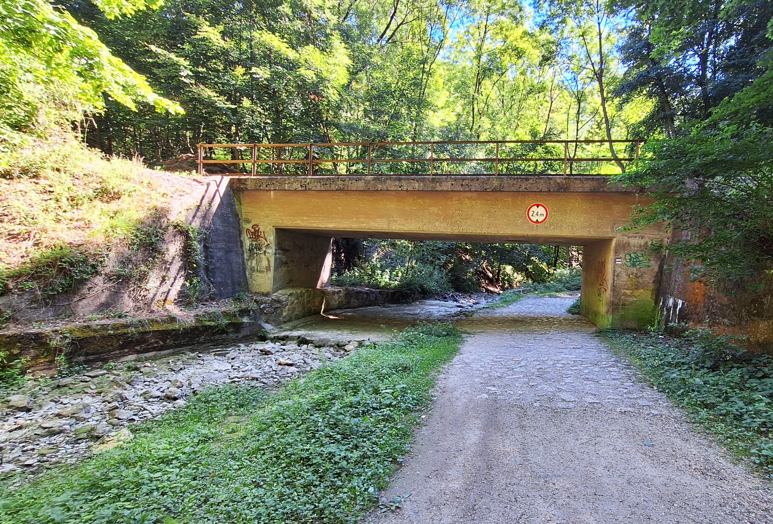 20250819_104358.jpg