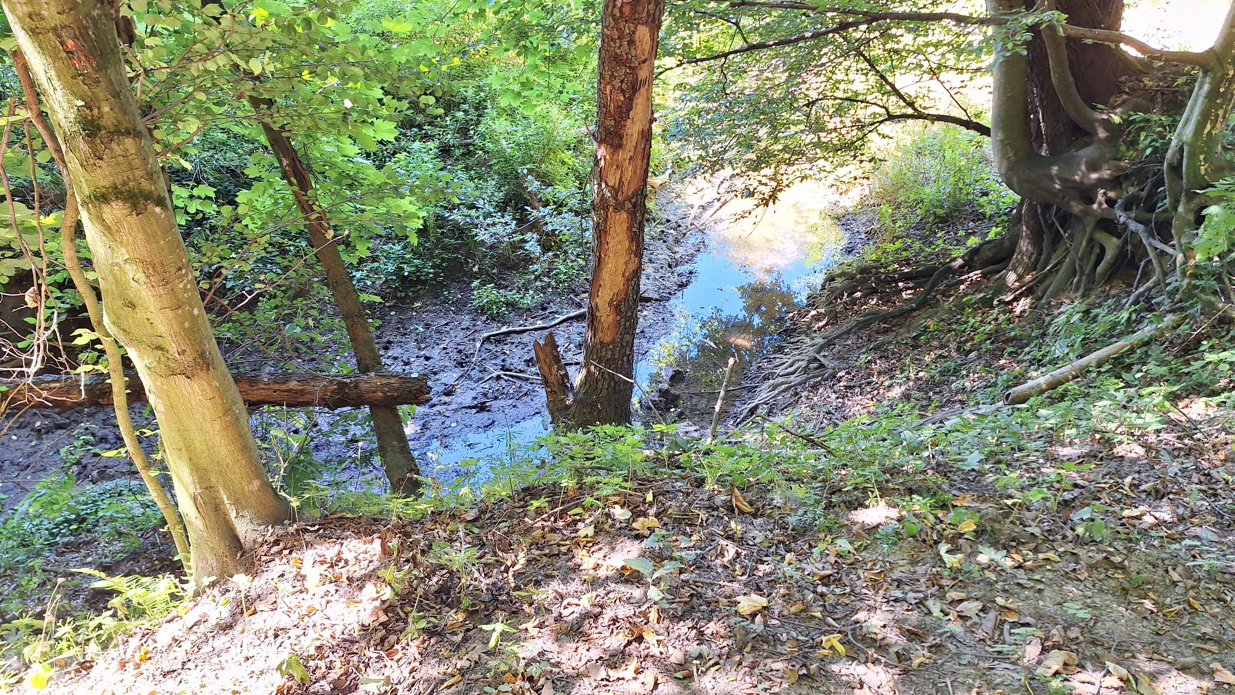 20250819_113754.jpg