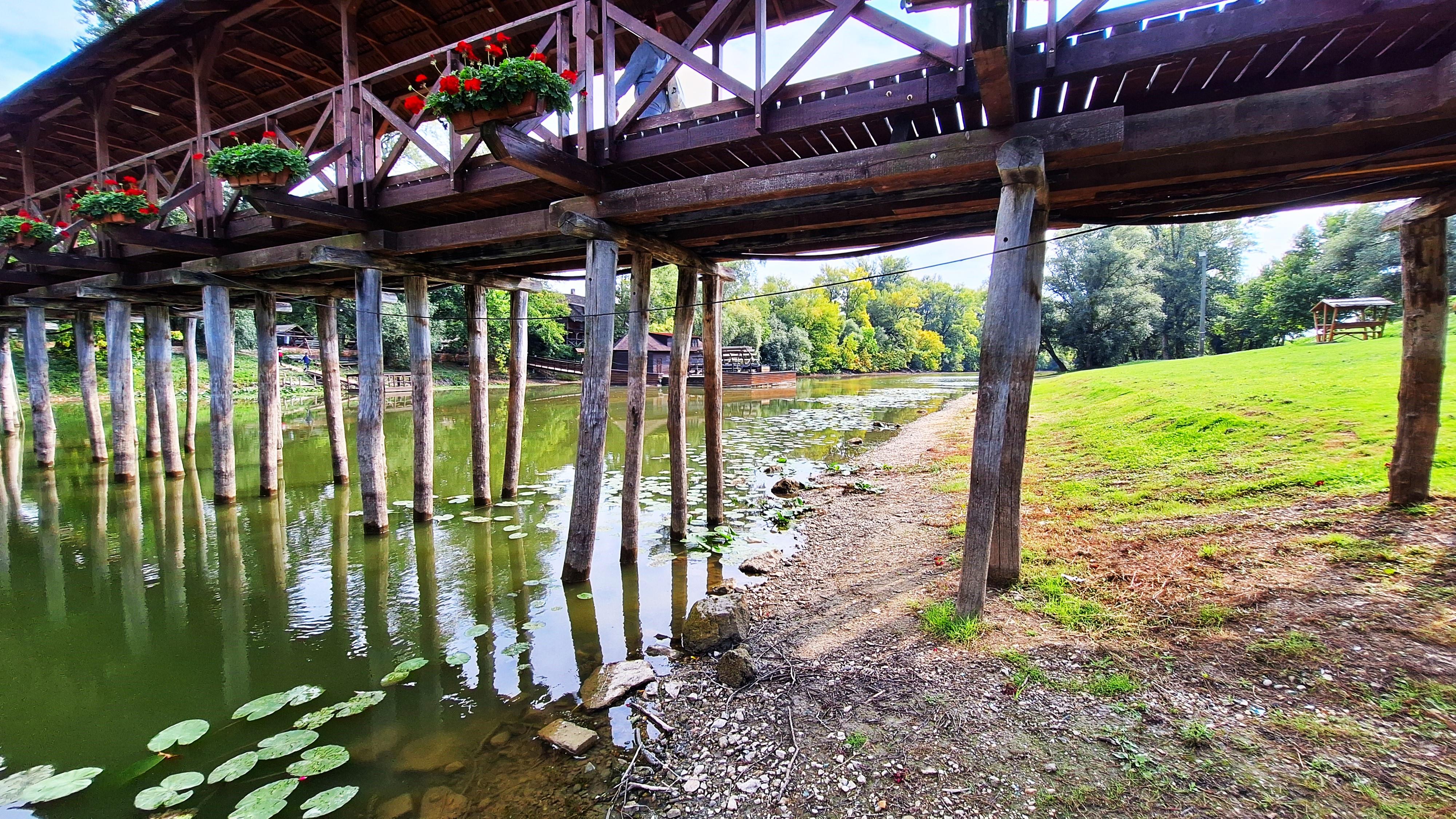 20250913_114550.jpg