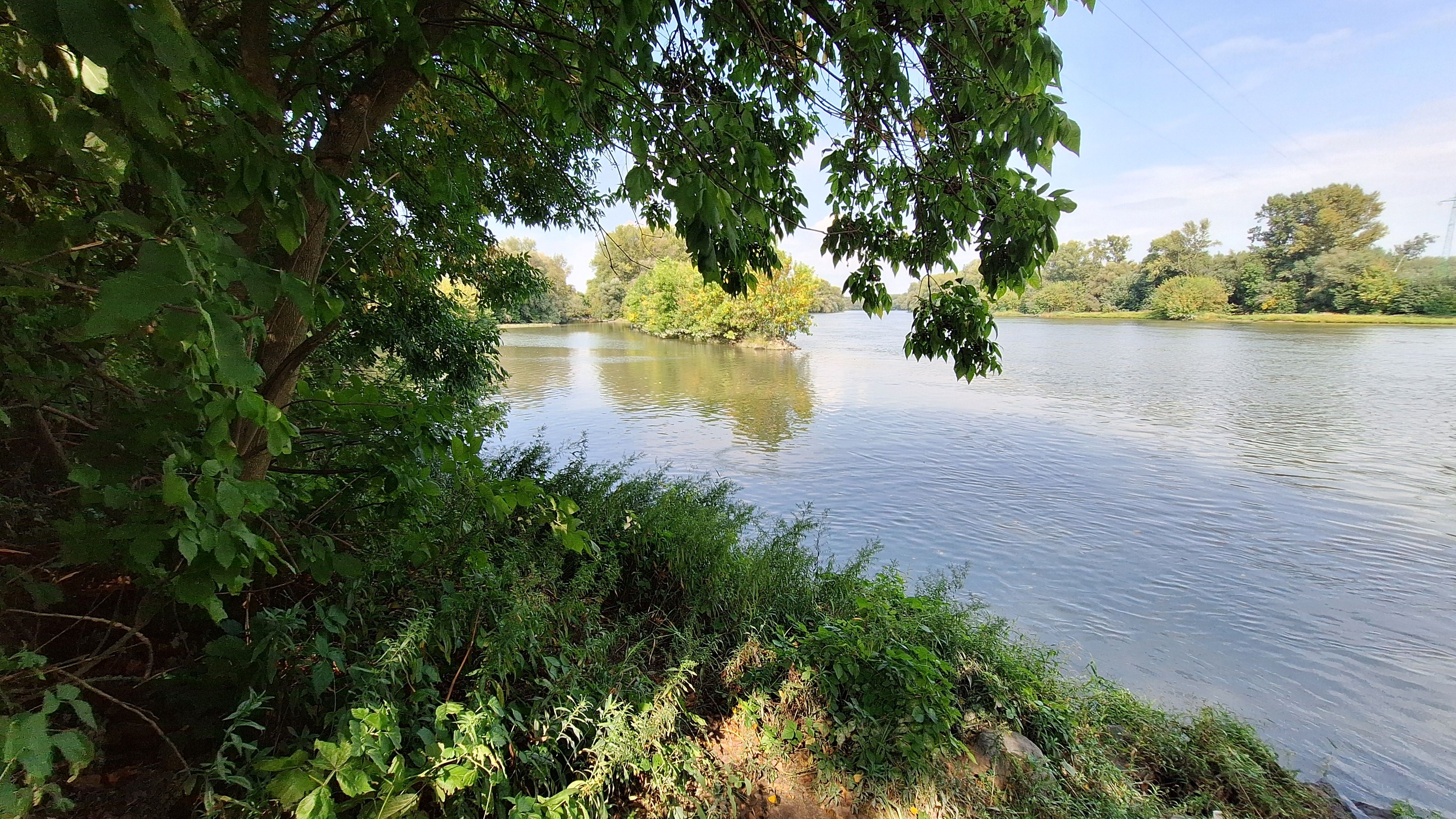 20250913_122803.jpg