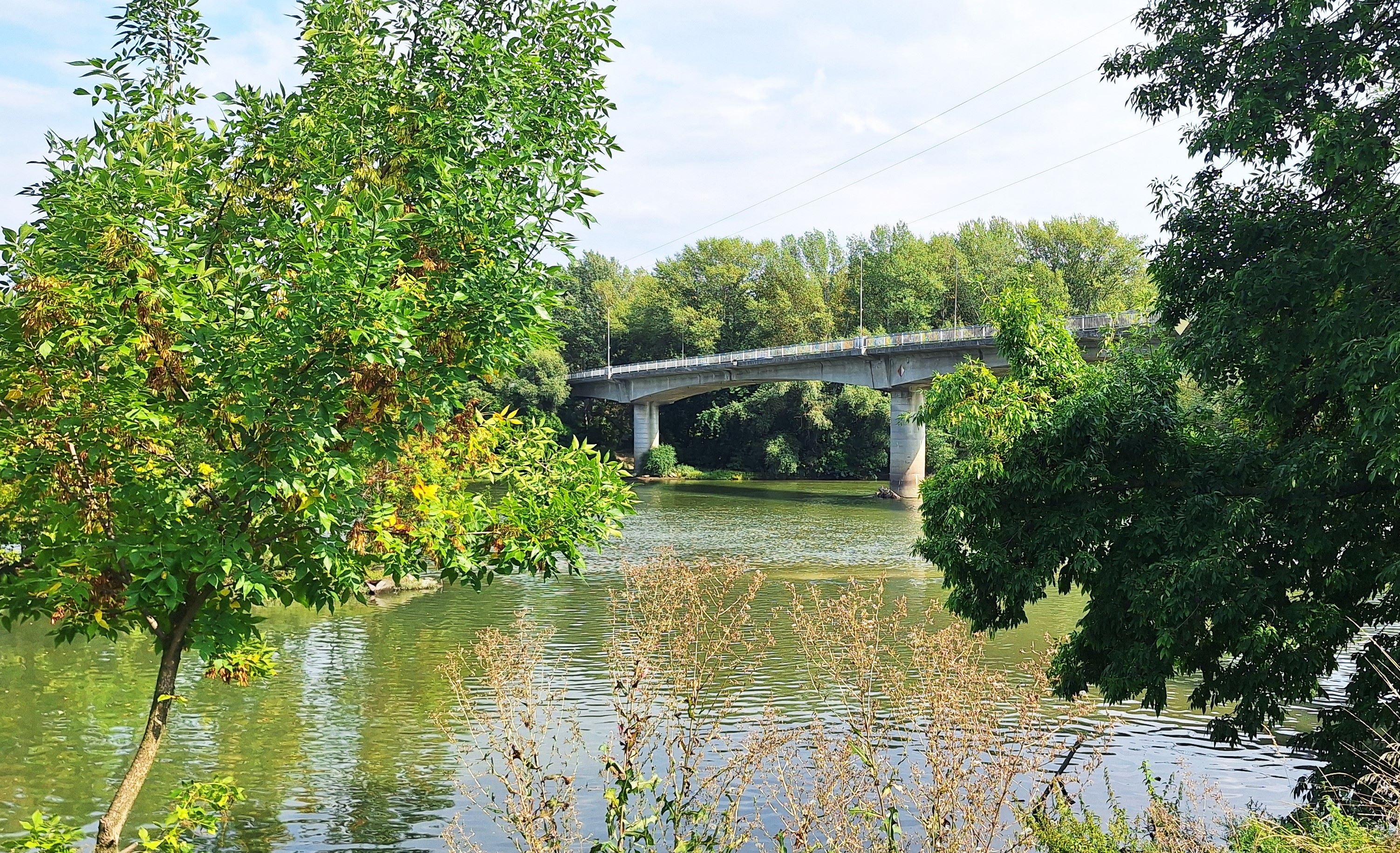 20250913_122948.jpg