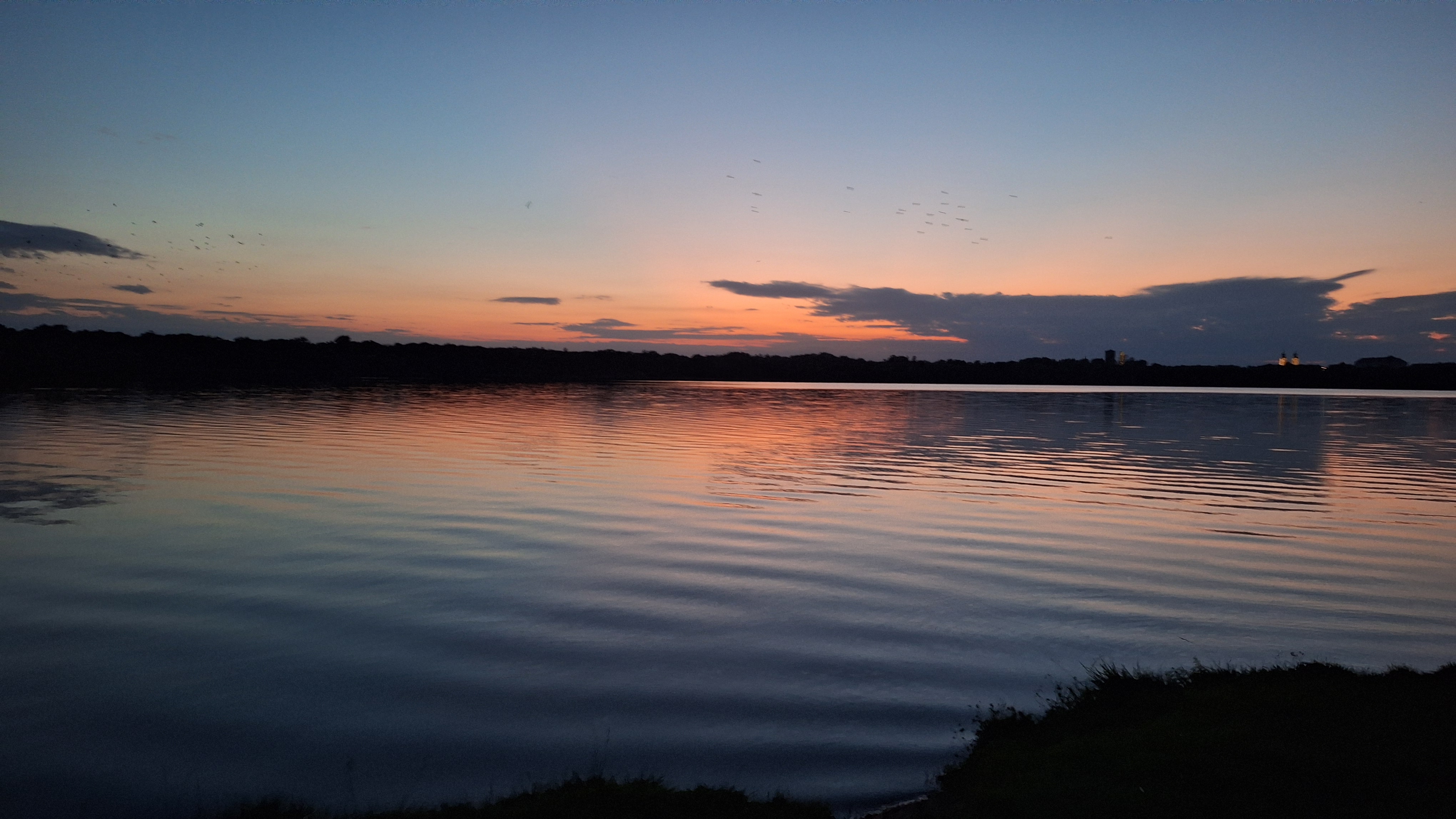 20250927_190431.jpg