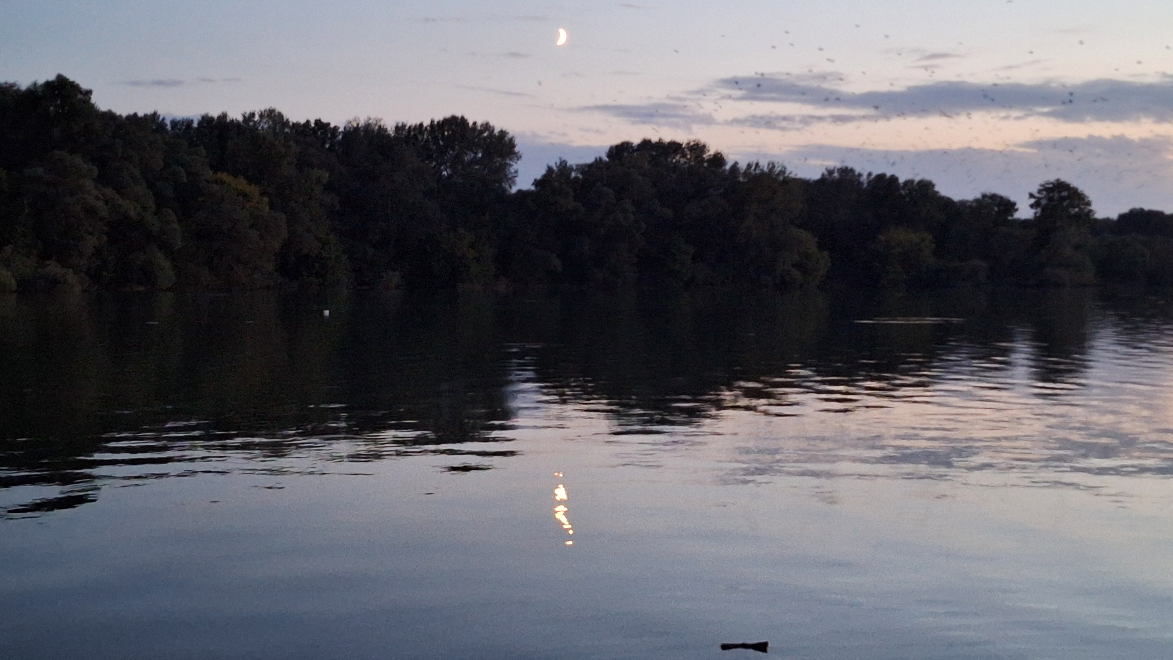 20250927_190459.jpg
