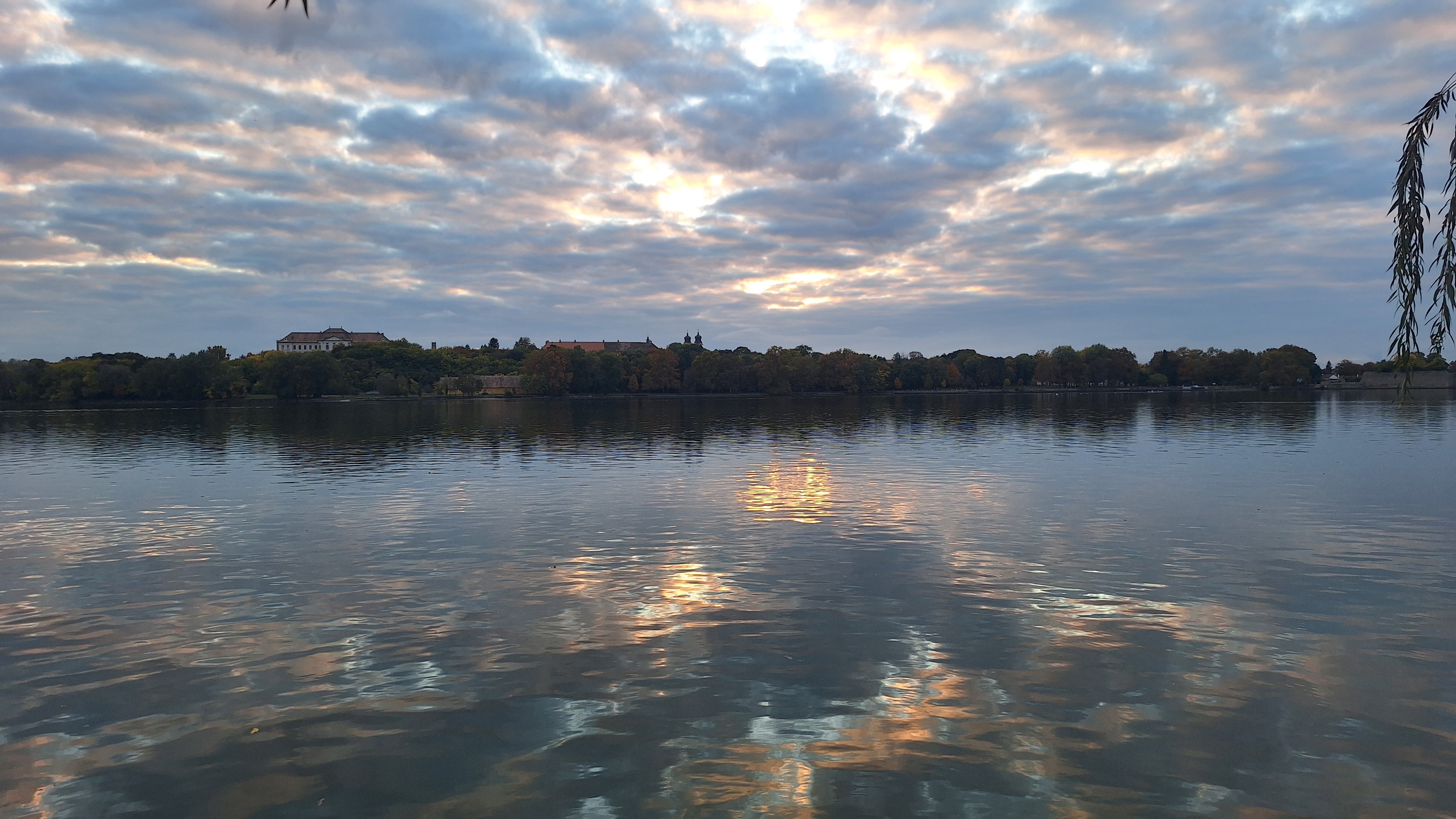 20251015_174133.jpg
