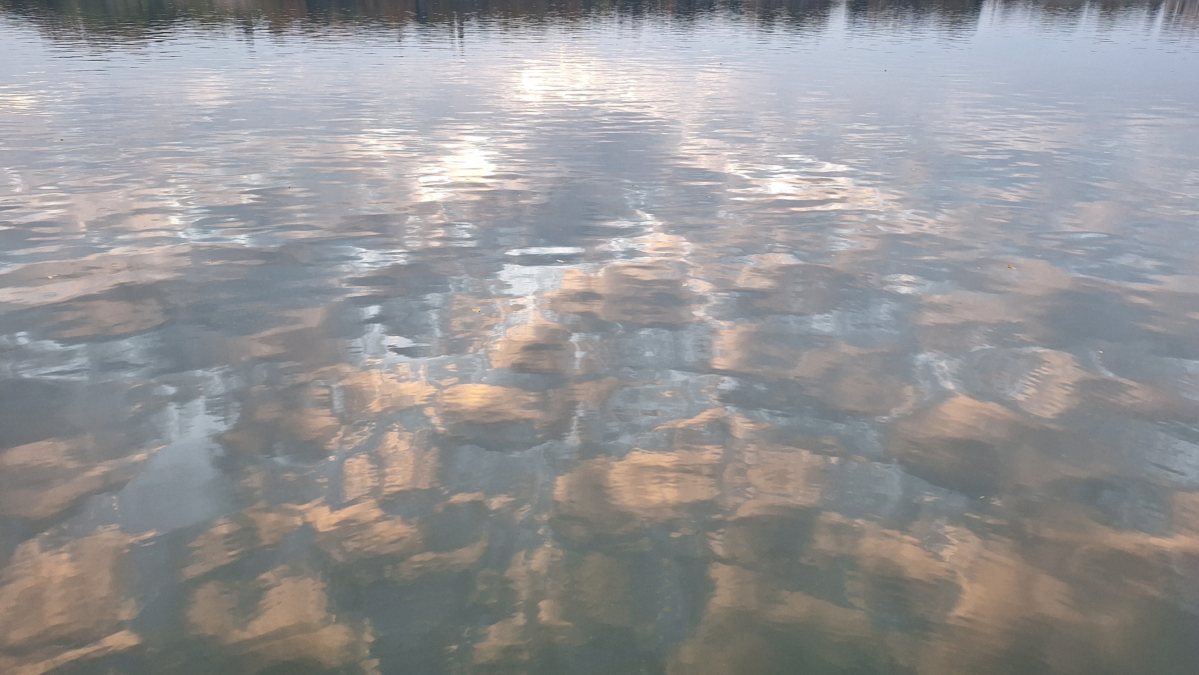 20251015_174242.jpg