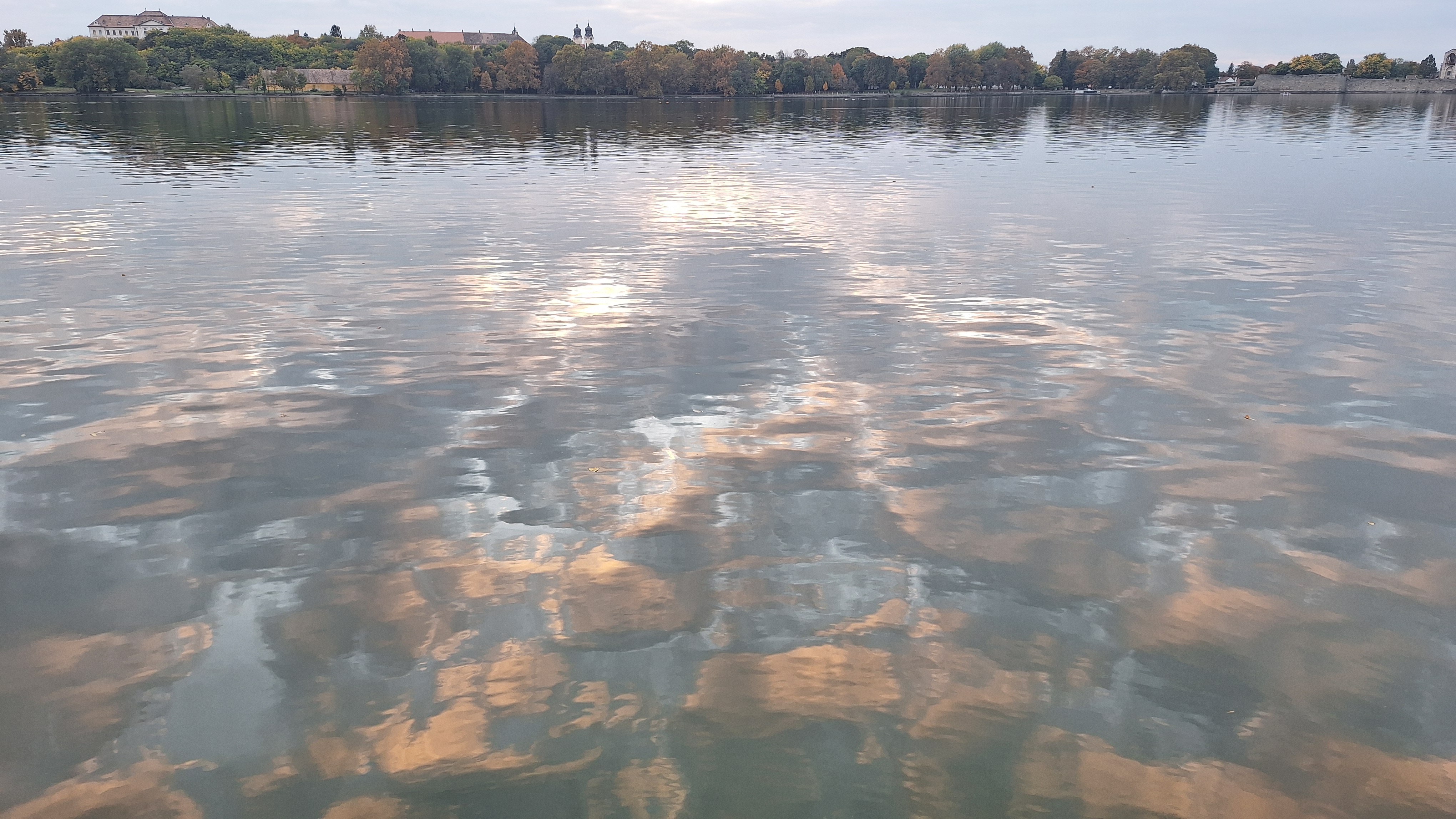 20251015_174248.jpg