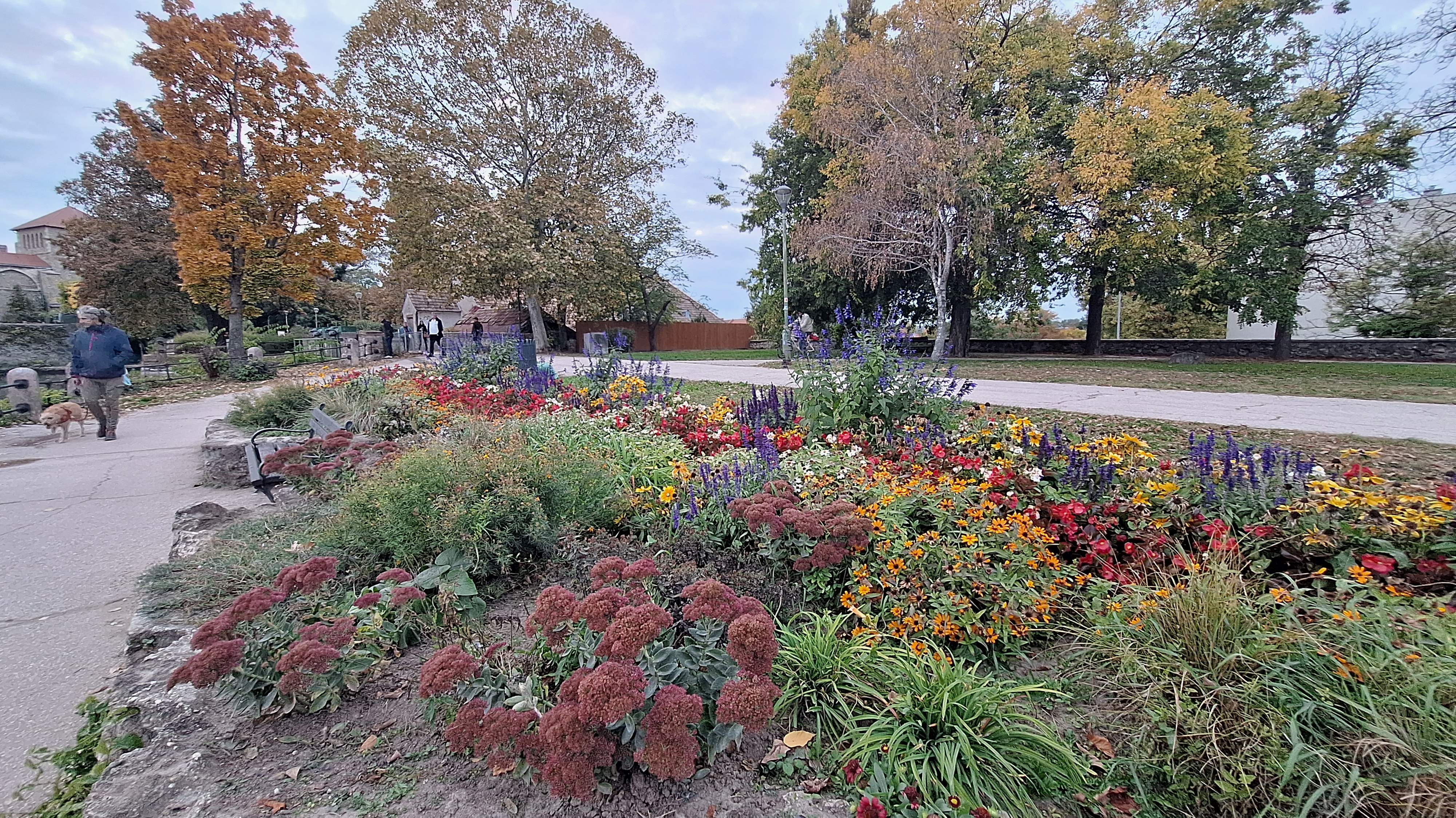 20251015_175353.jpg