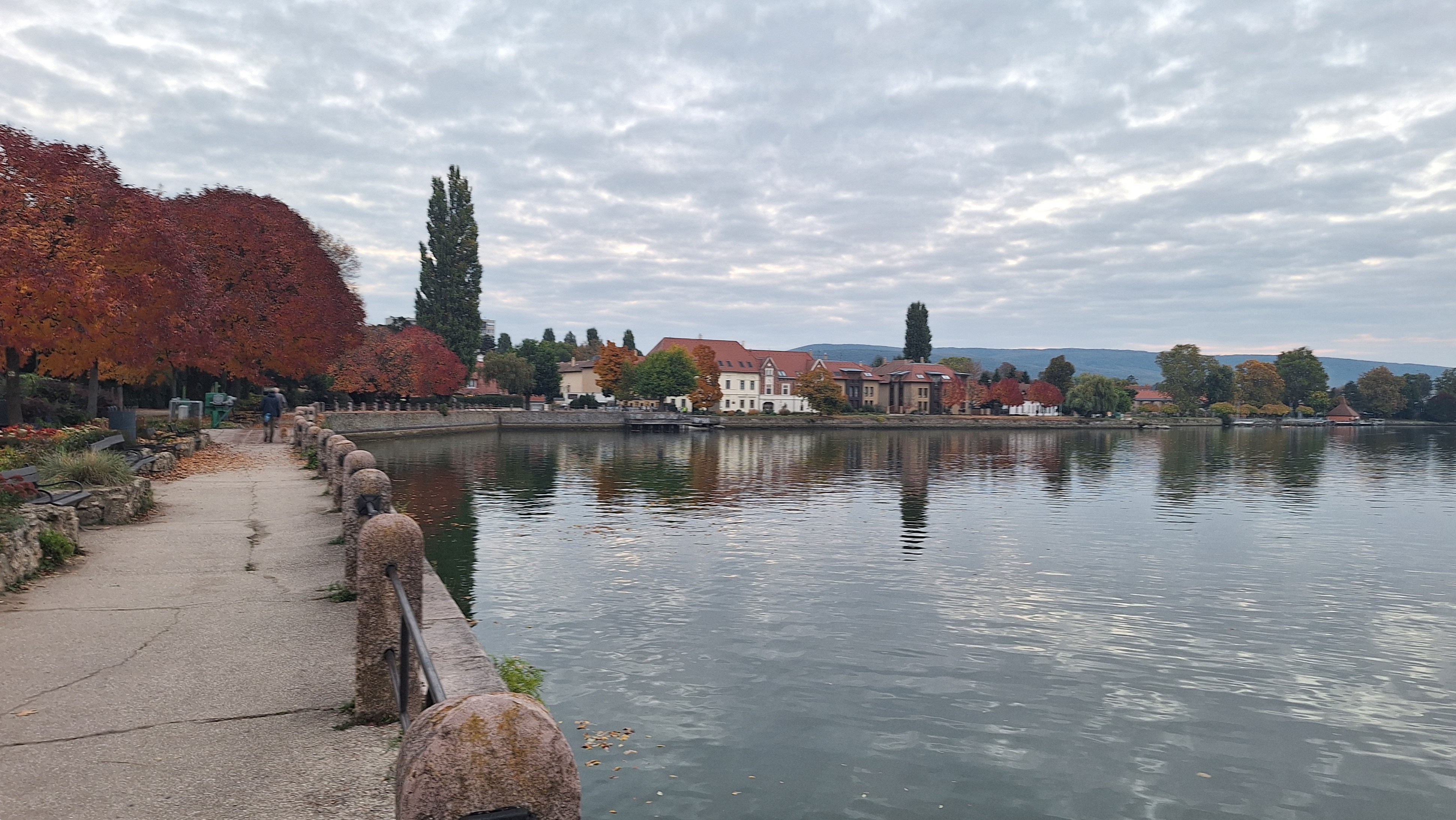 20251015_175434.jpg