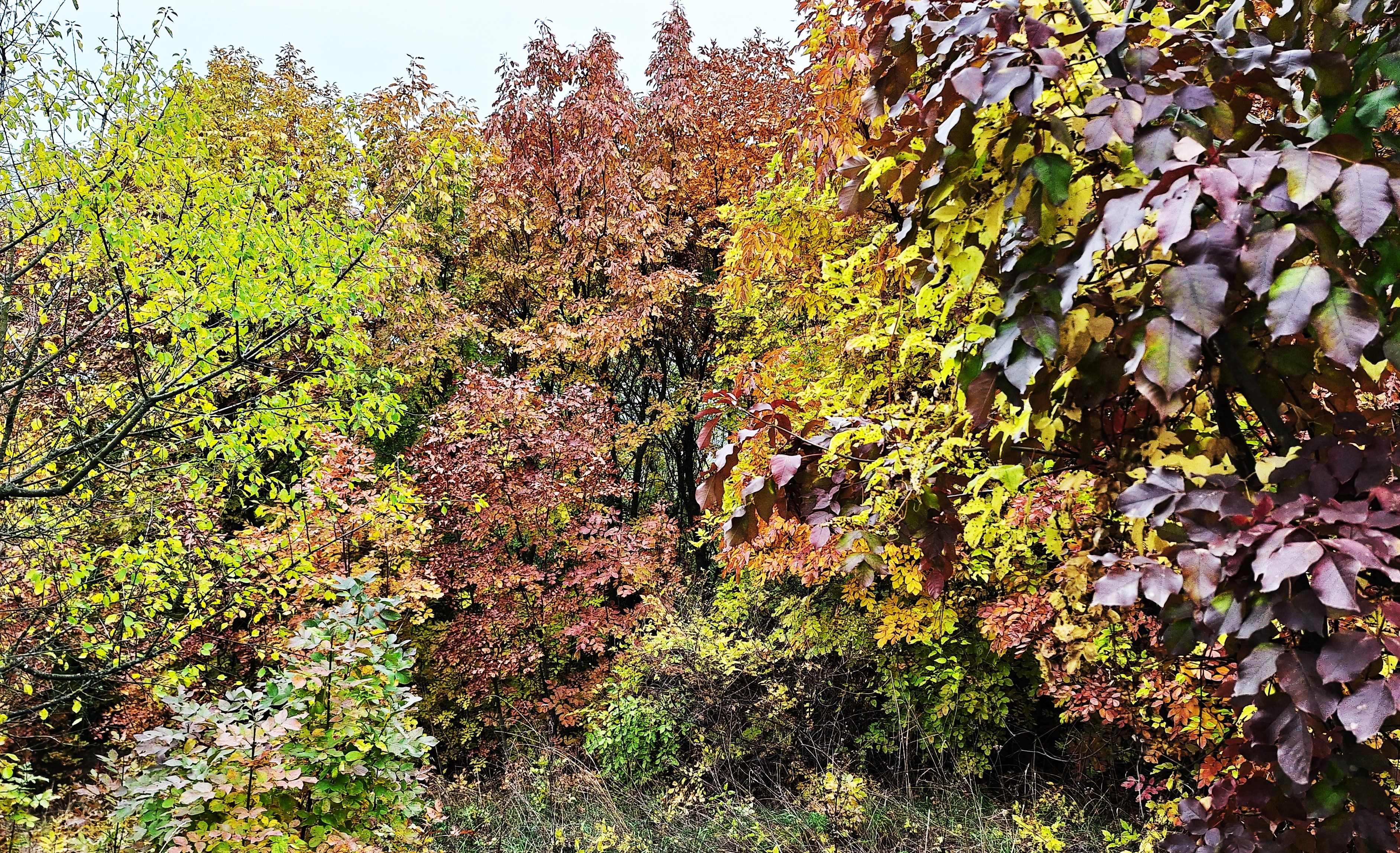 20251023_120148.jpg