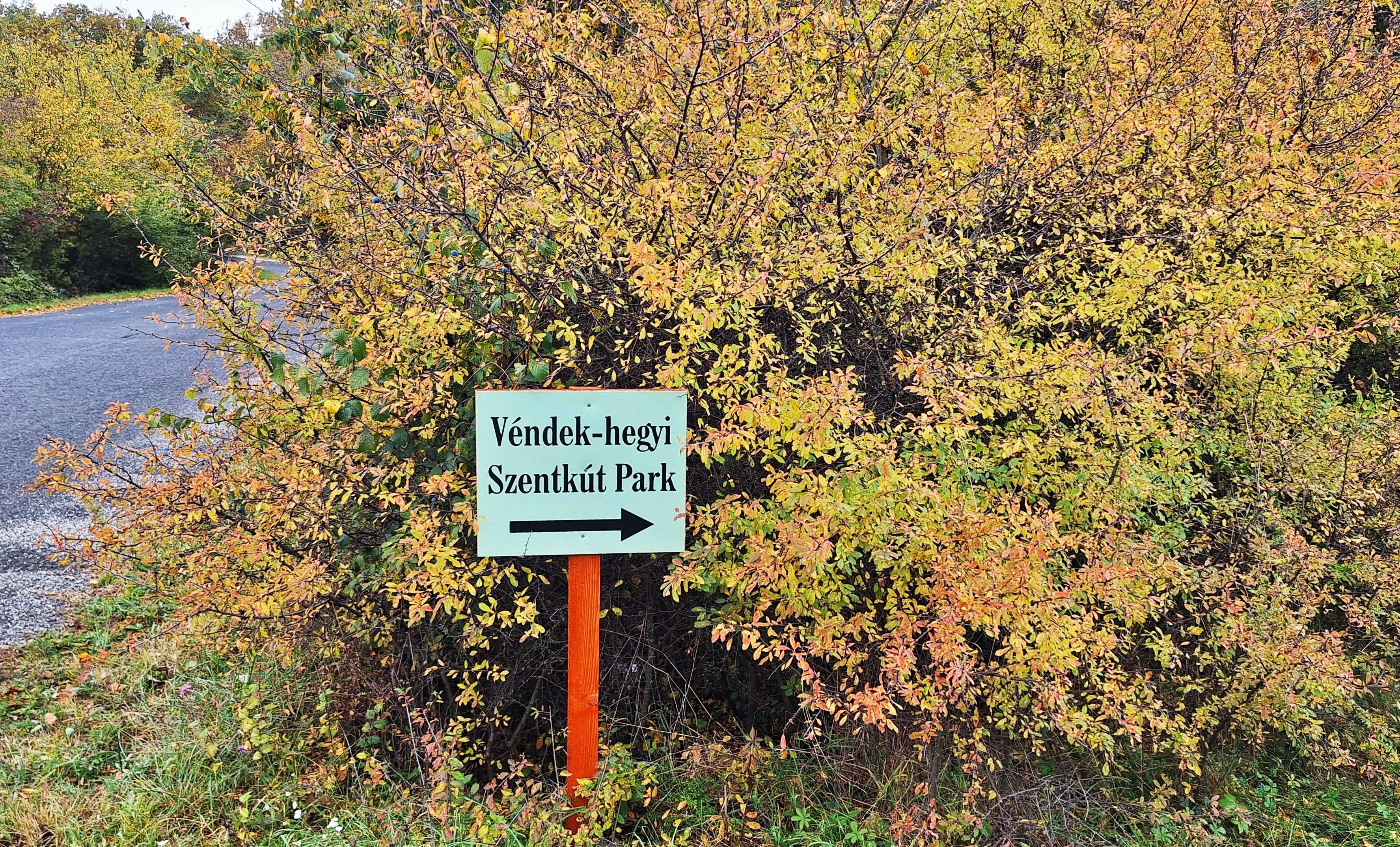 20251023_141947.jpg