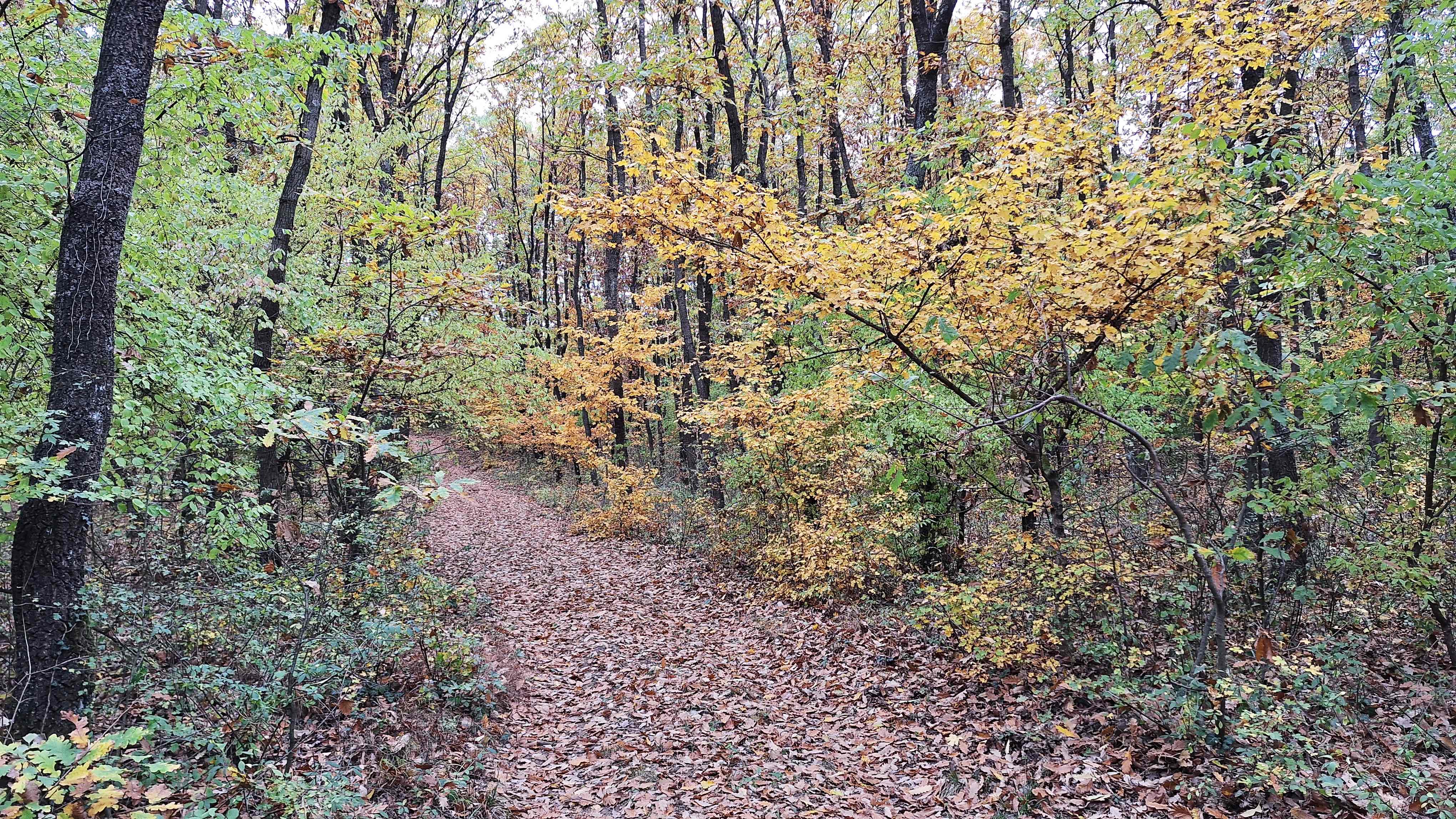 20251023_144117.jpg