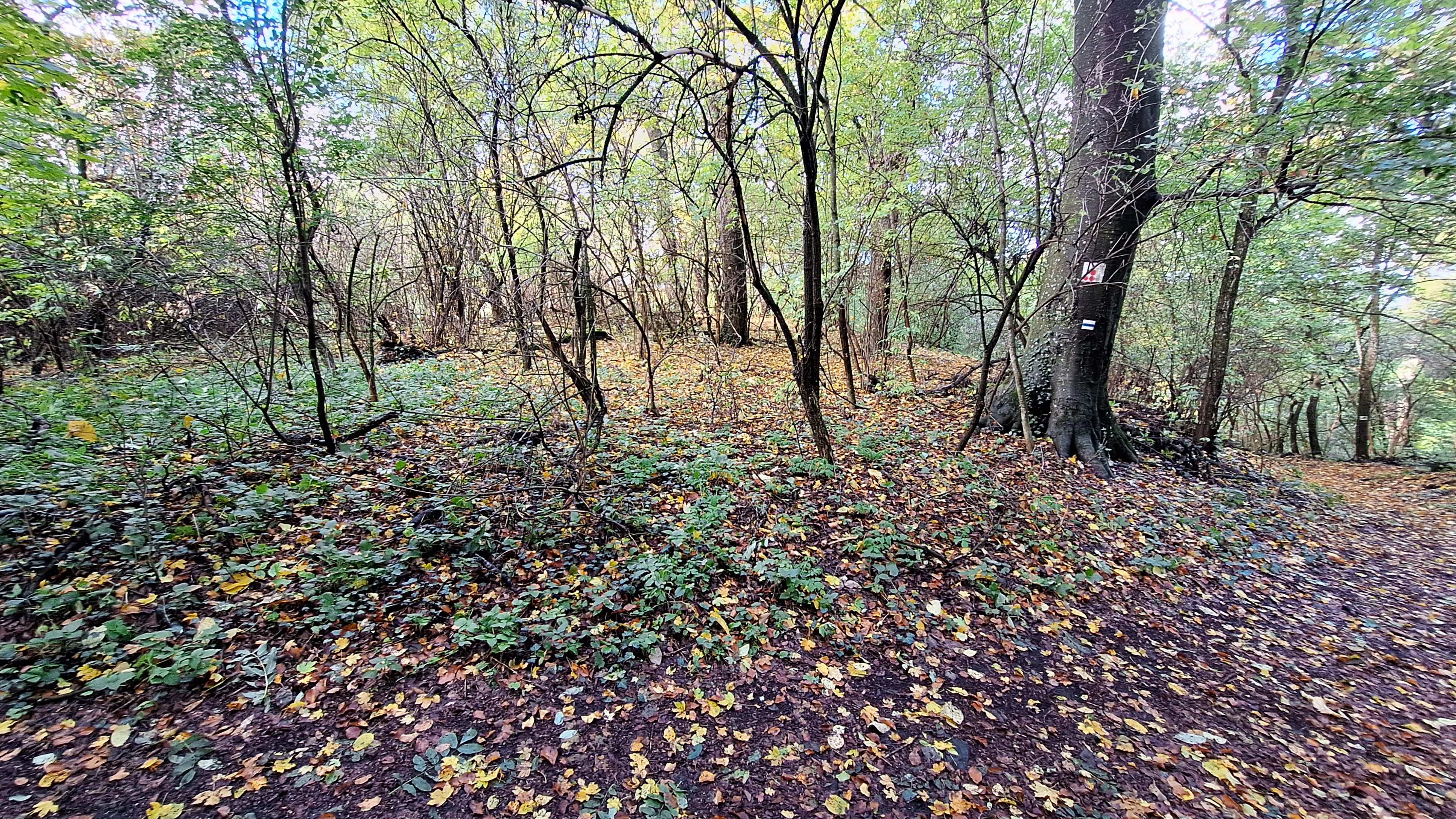20251024_131653.jpg