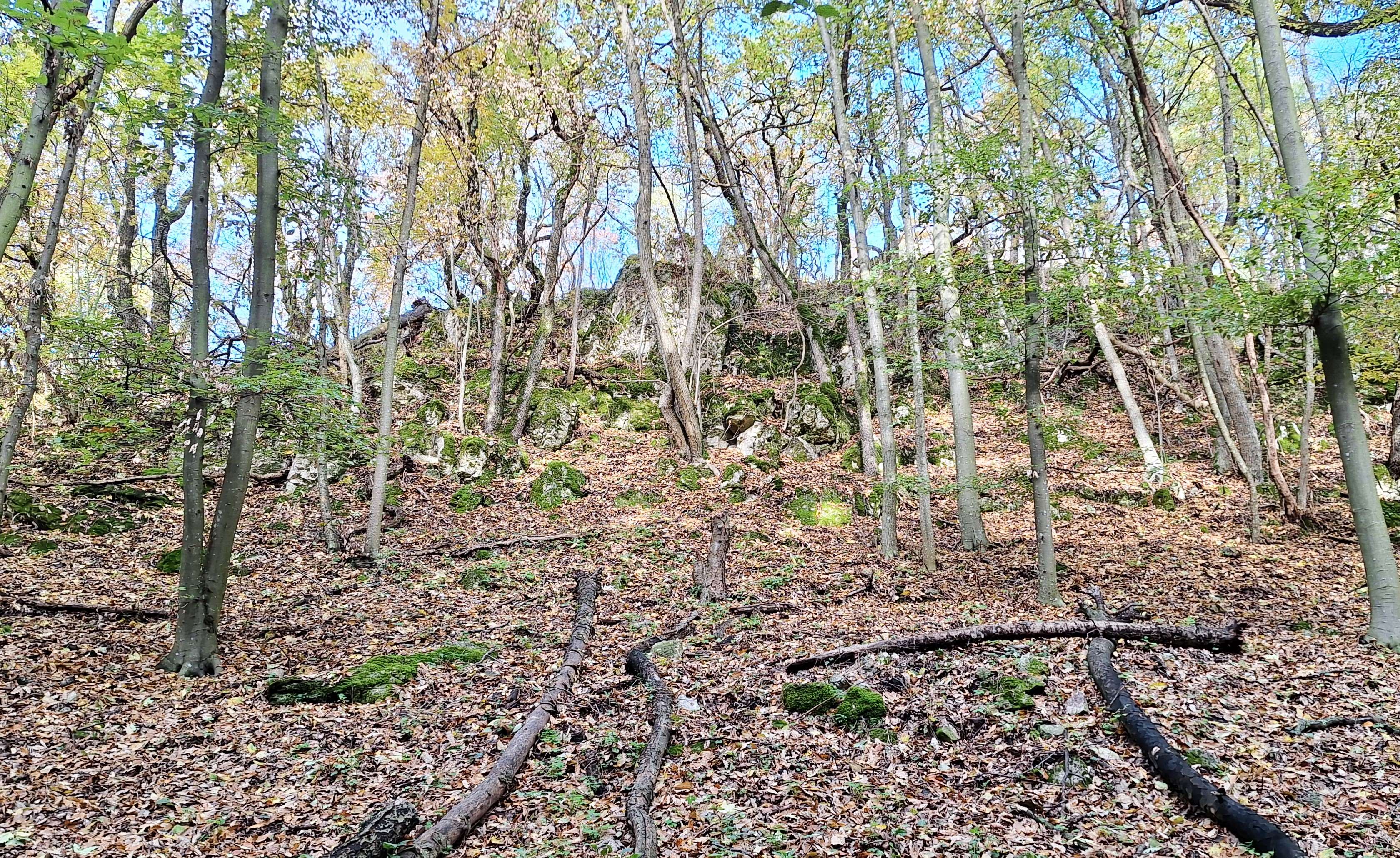 20251025_092718.jpg