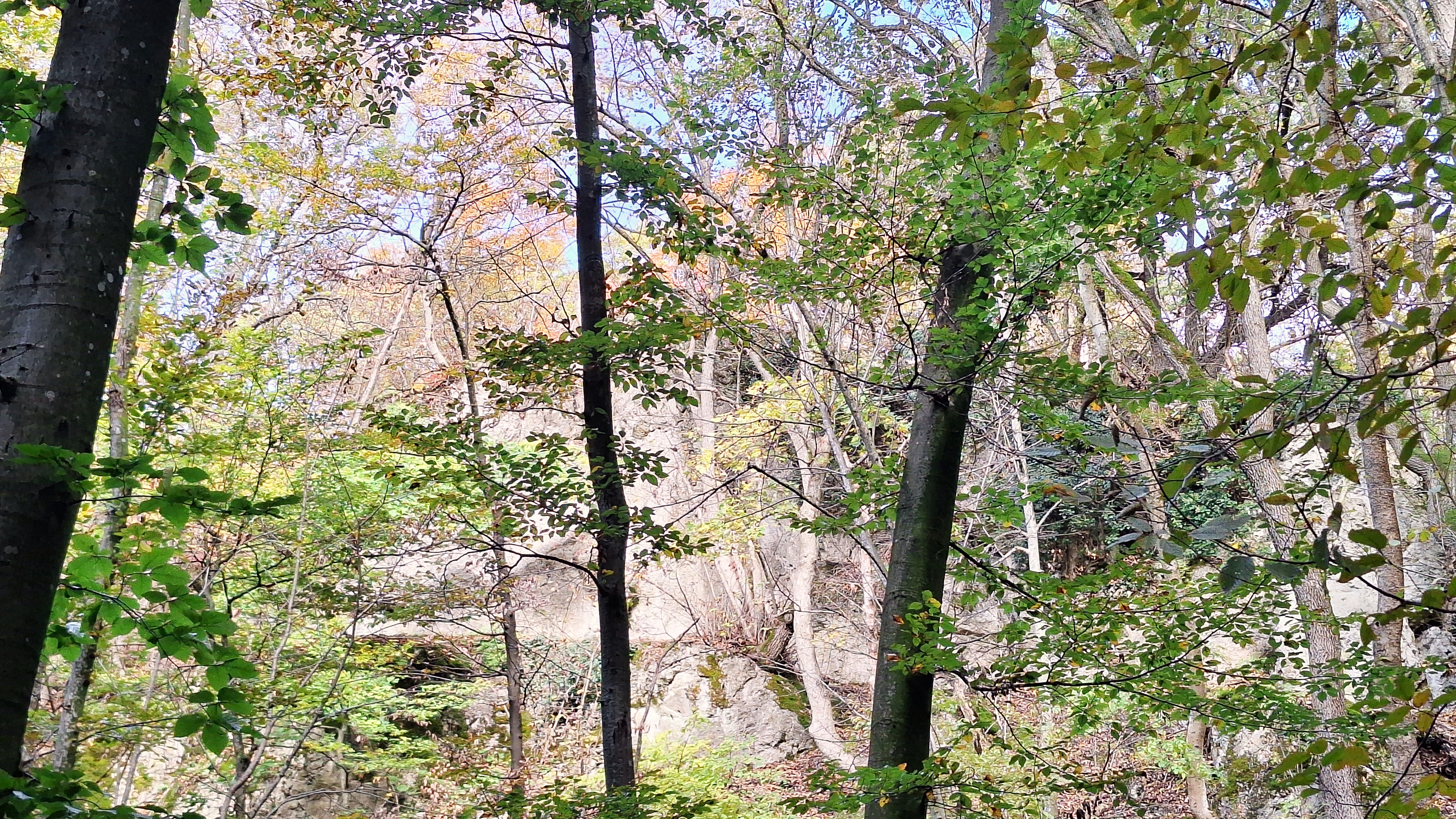 20251025_093103.jpg