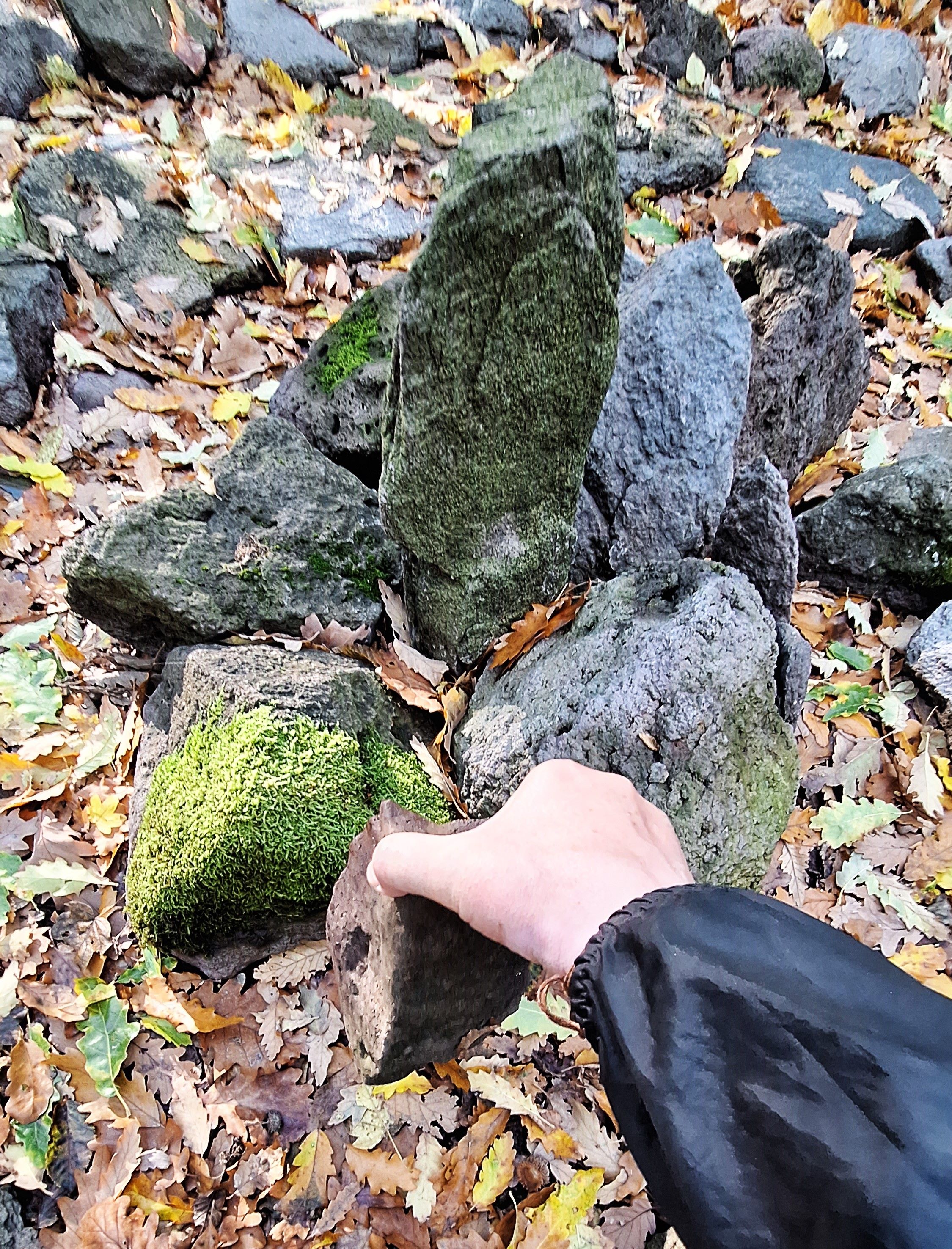 20251025_094835.jpg