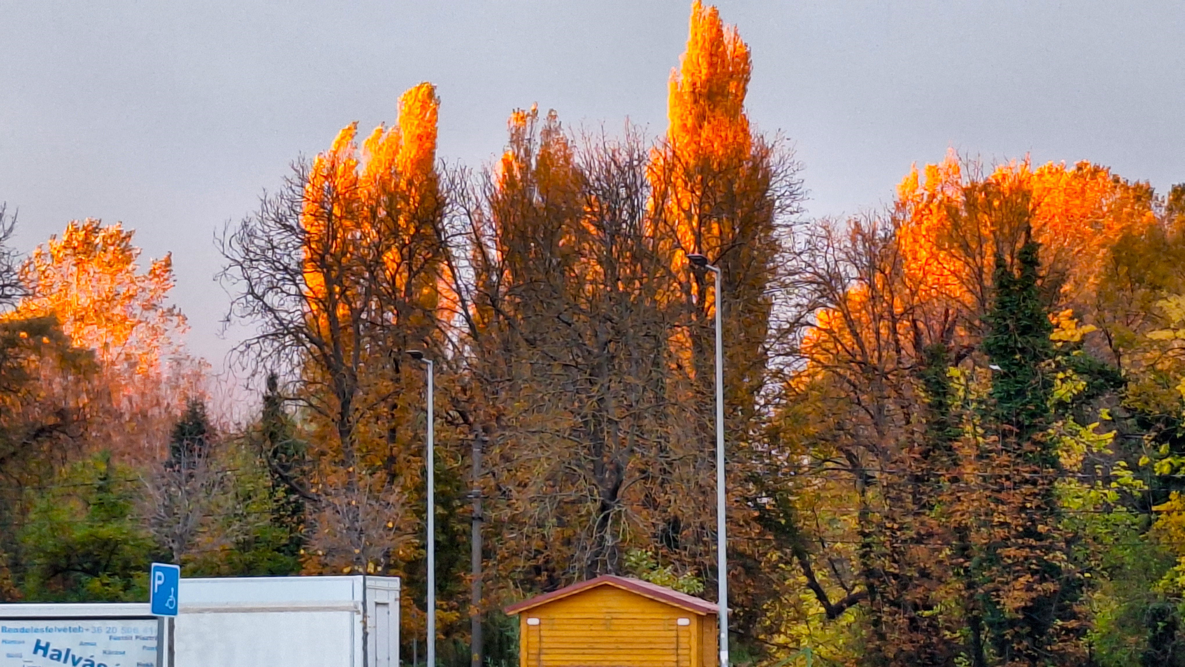 20251027_163032.jpg