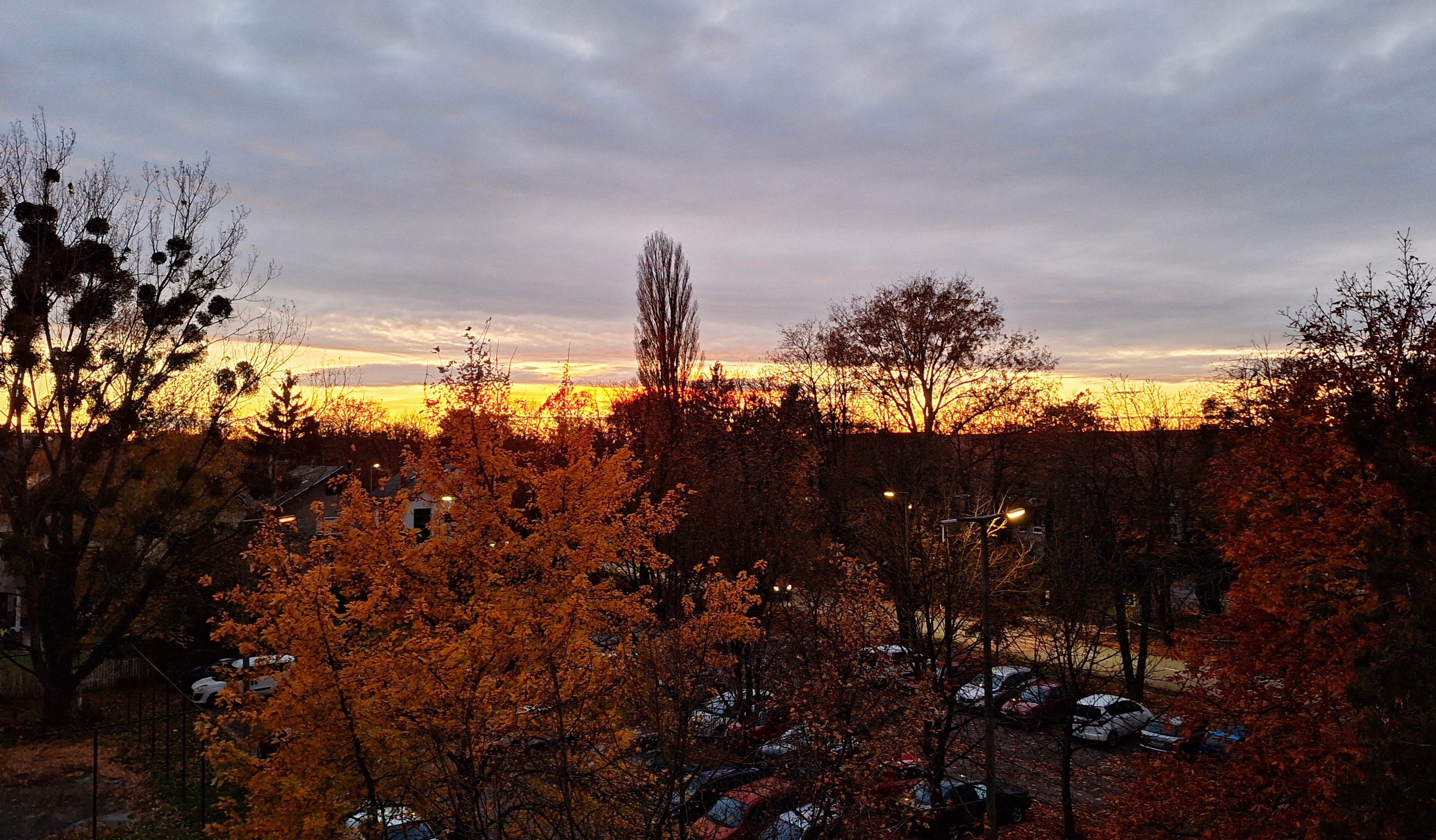 20251103_164612.jpg