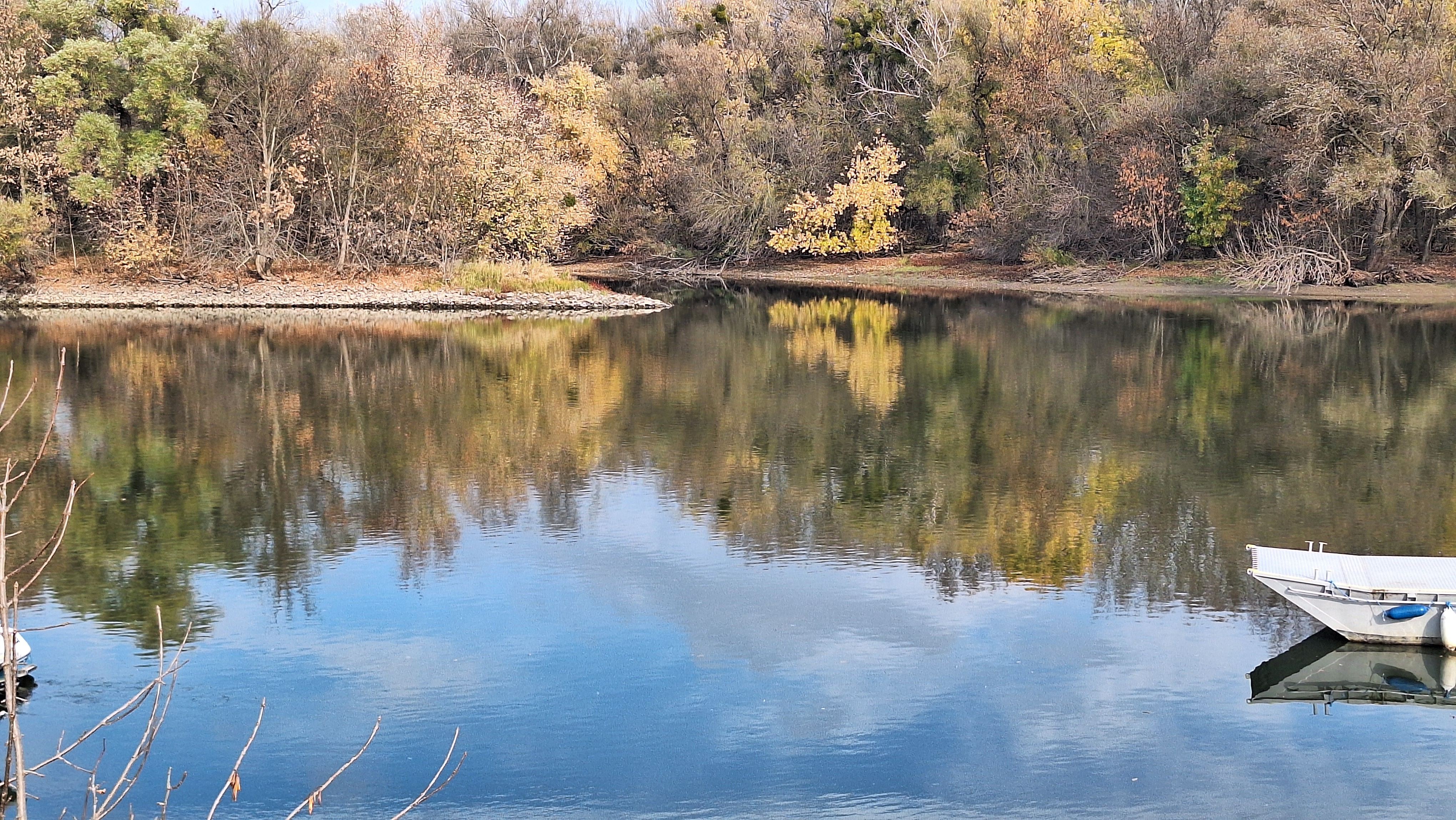 20251109_121146.jpg