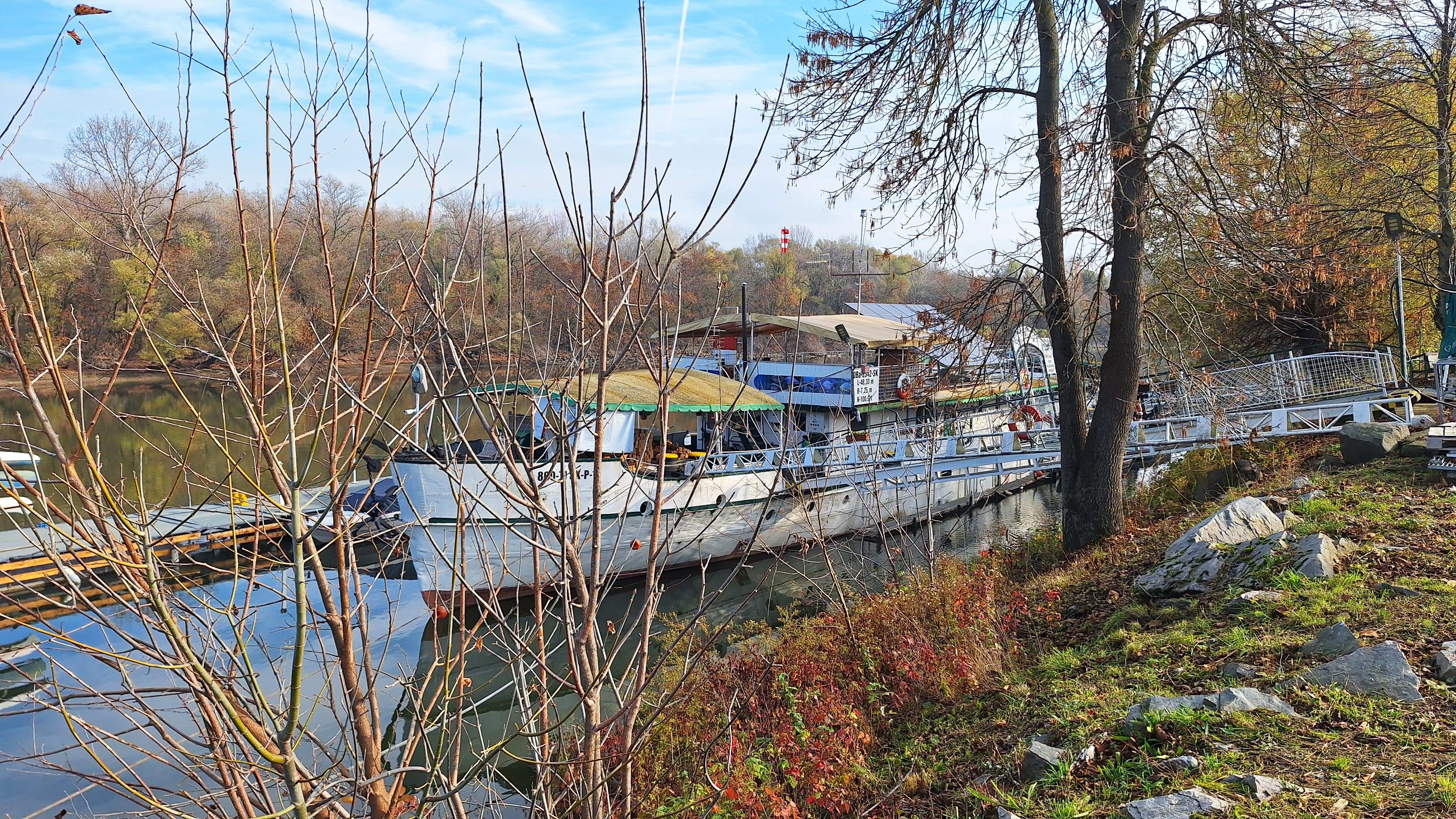 20251109_121209.jpg